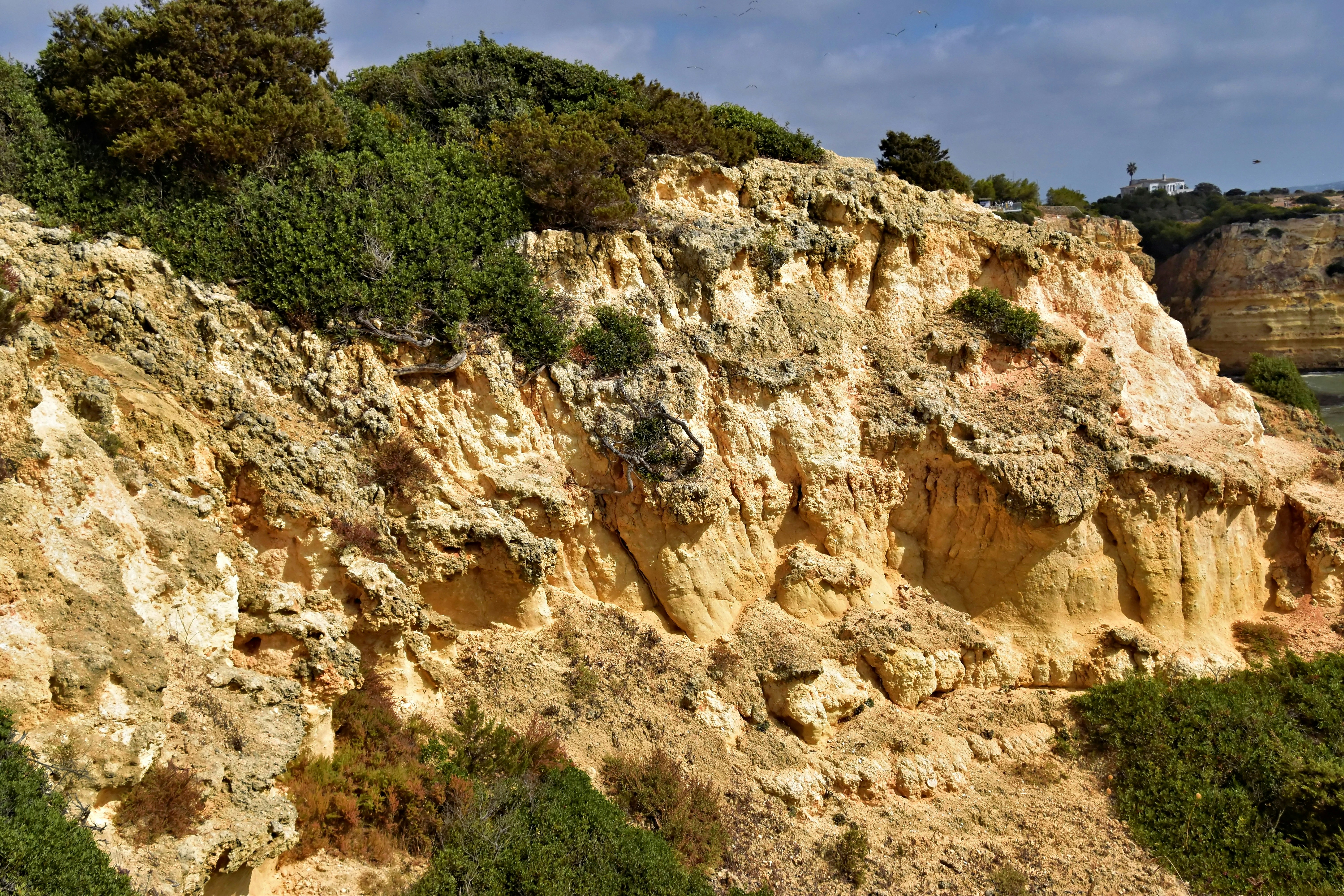 Falaise rocheuse avec végétation verdoyante sous un ciel bleu