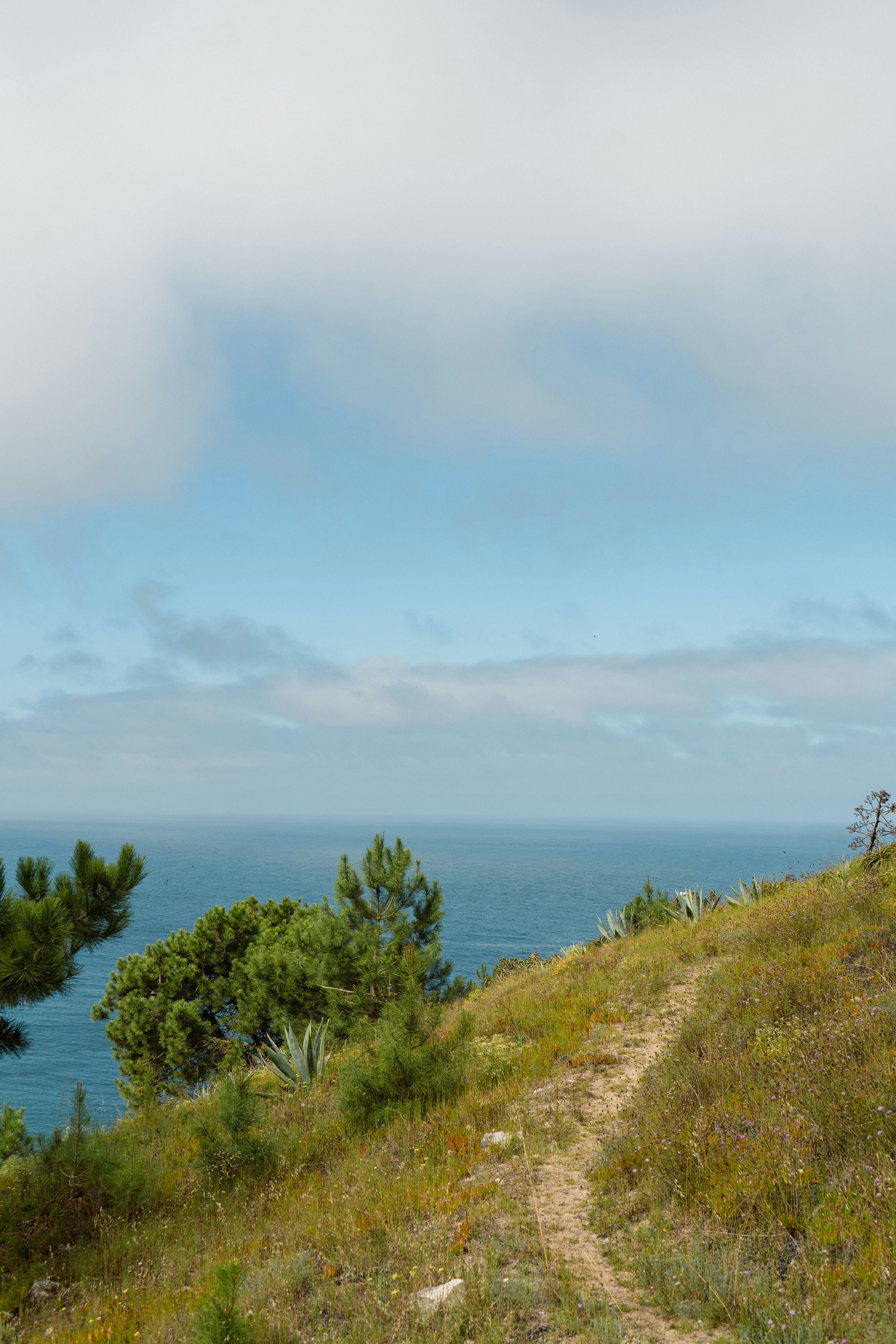 Photo by melina_dominic