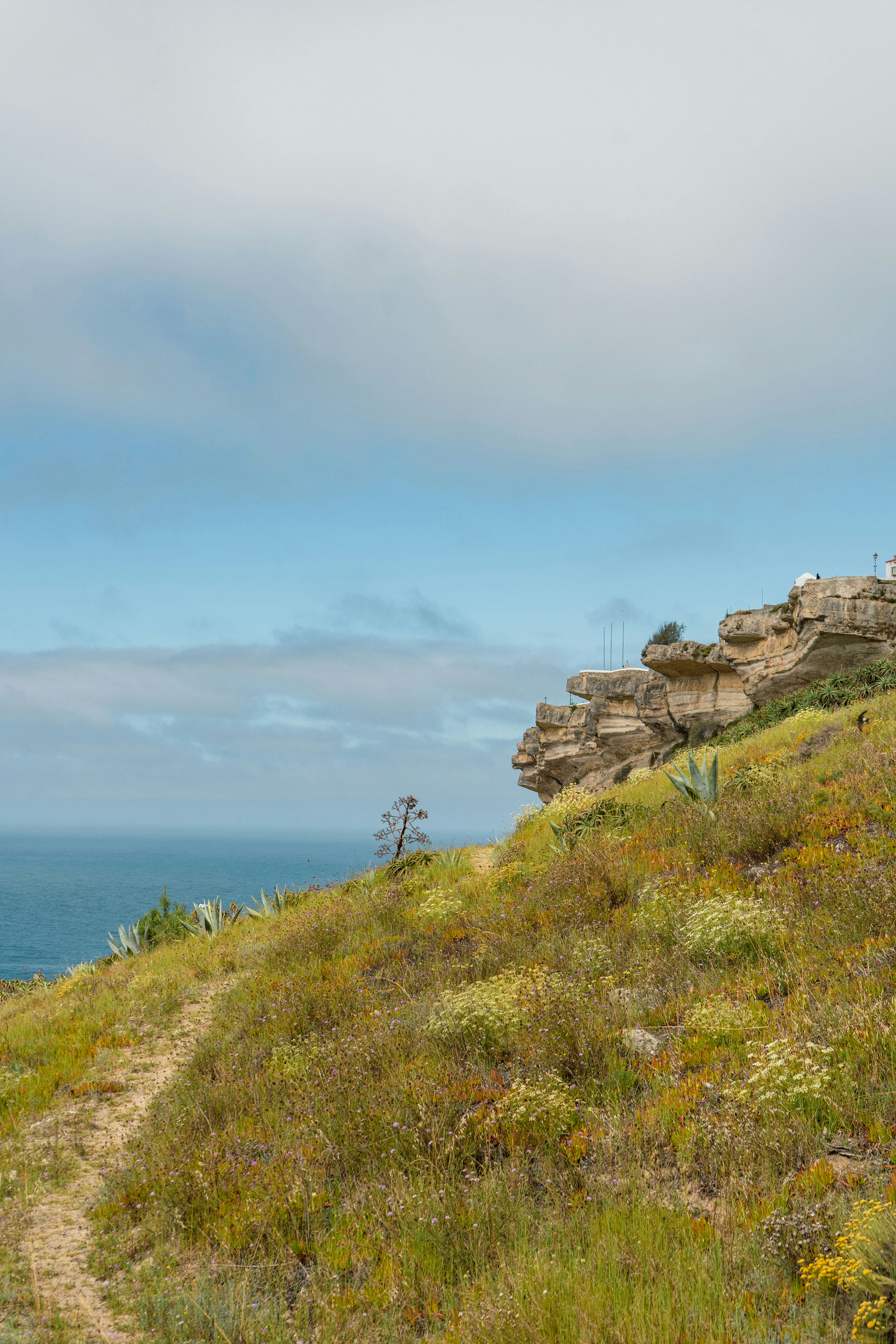 Photo by melina_dominic