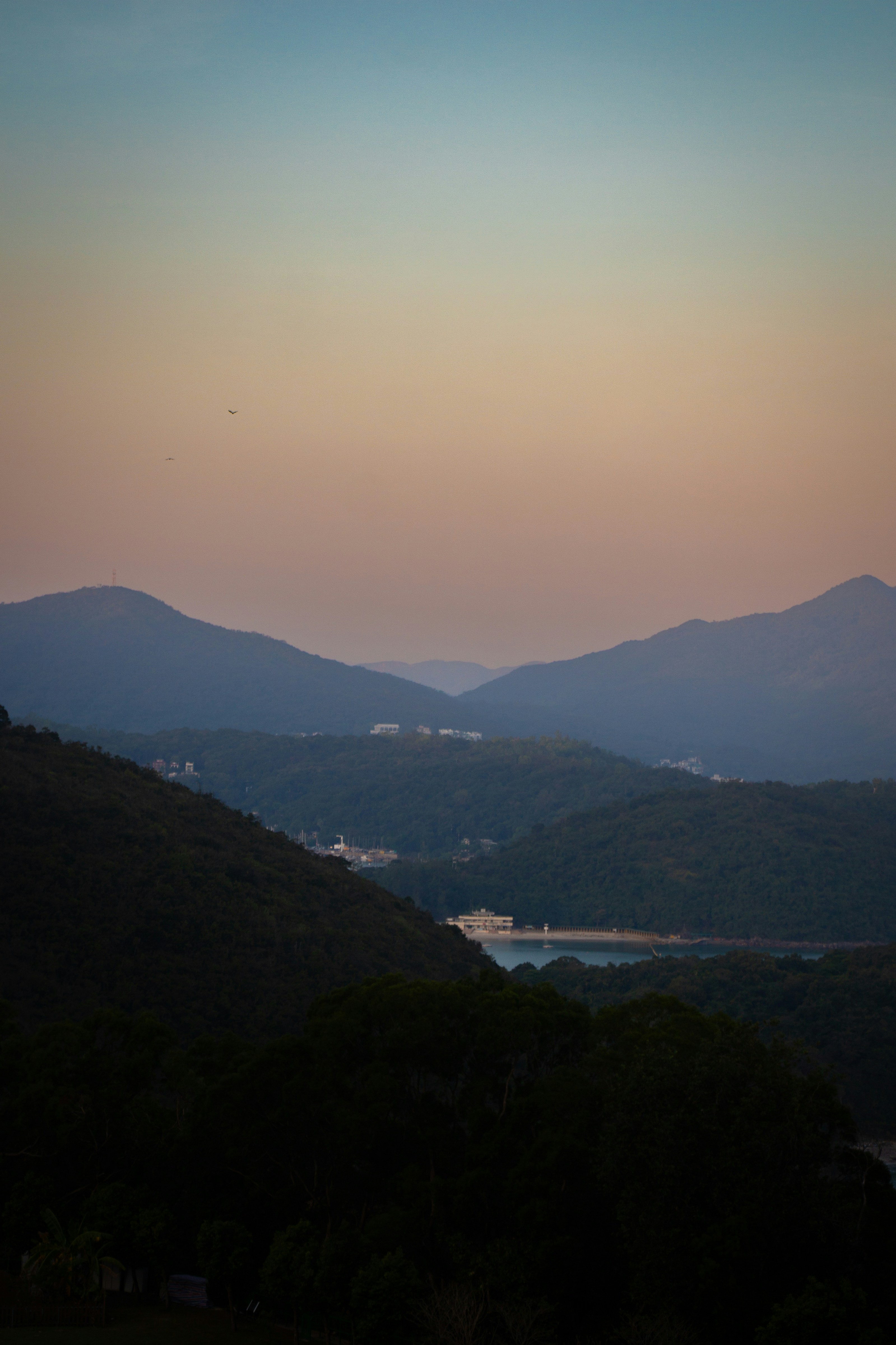 Photo by shreyaantech