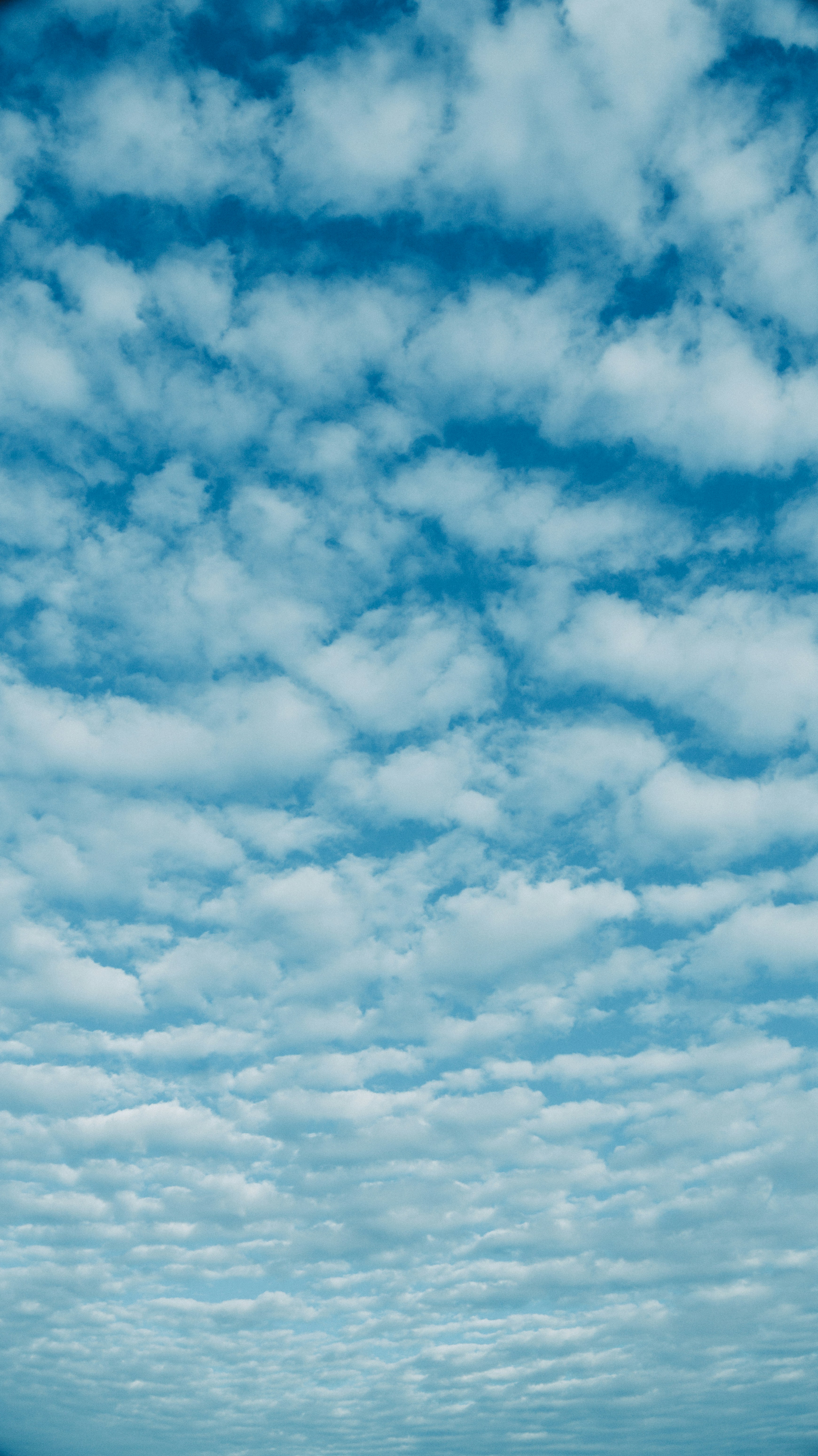 Photo by shreyaantech