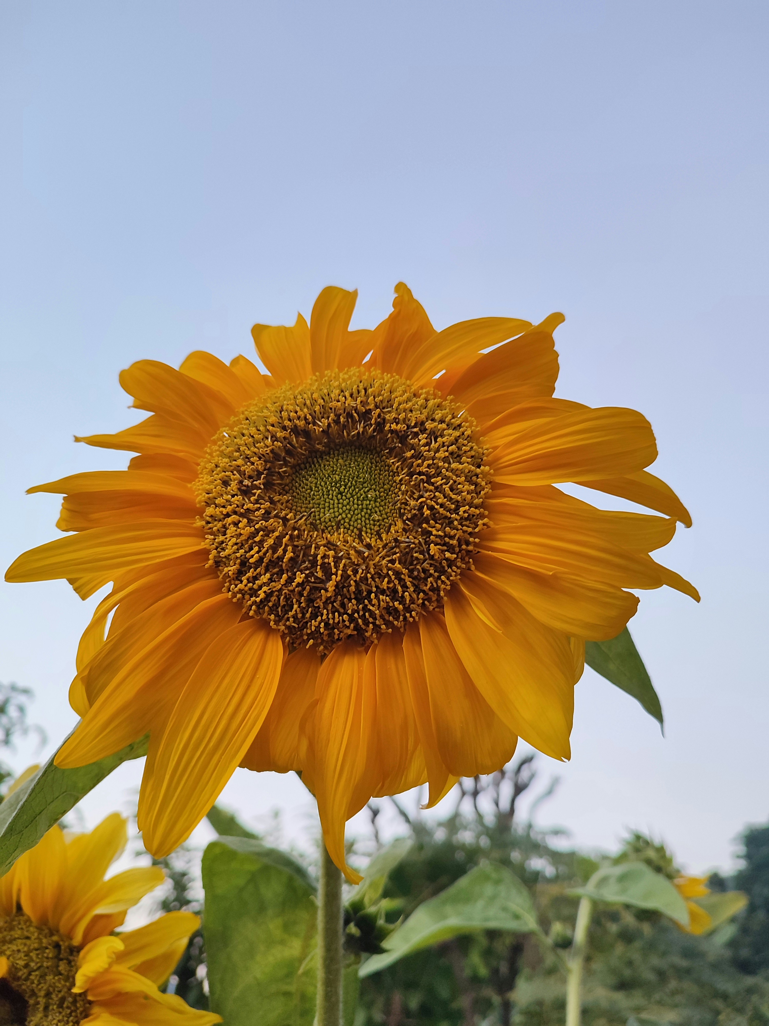 Photo by karnali