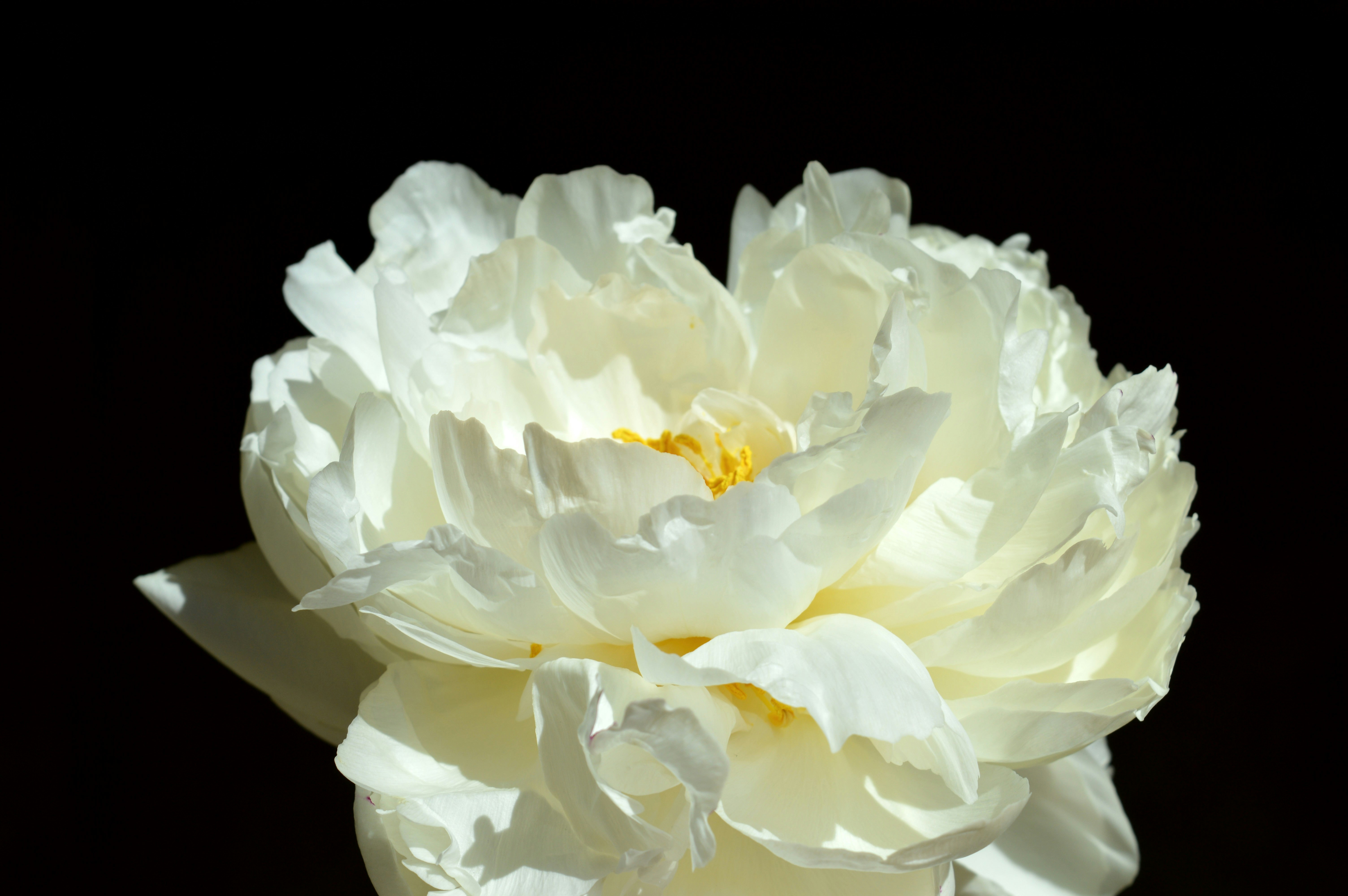 Photo by marianikolova