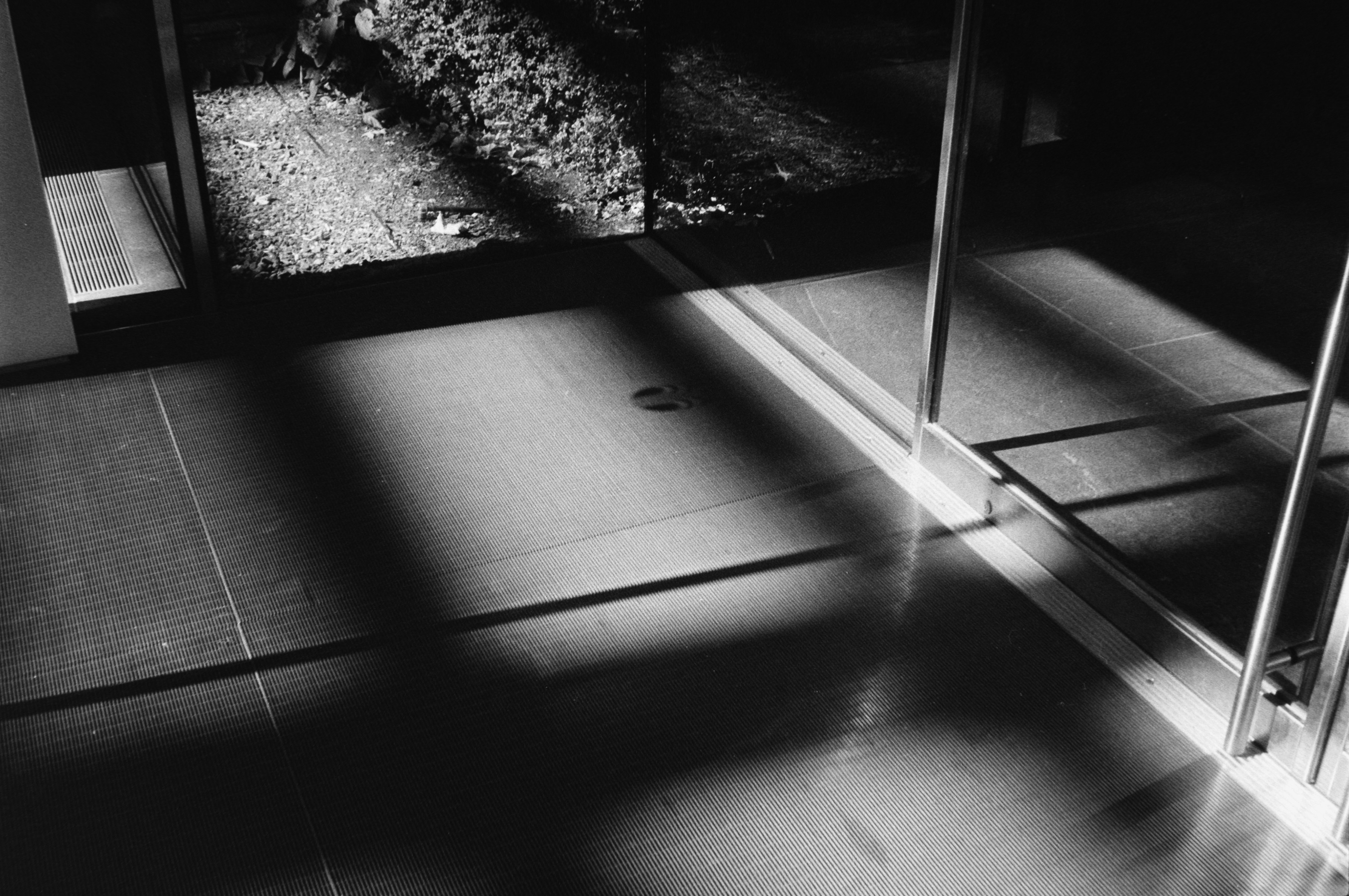 Photo by theguccer2100