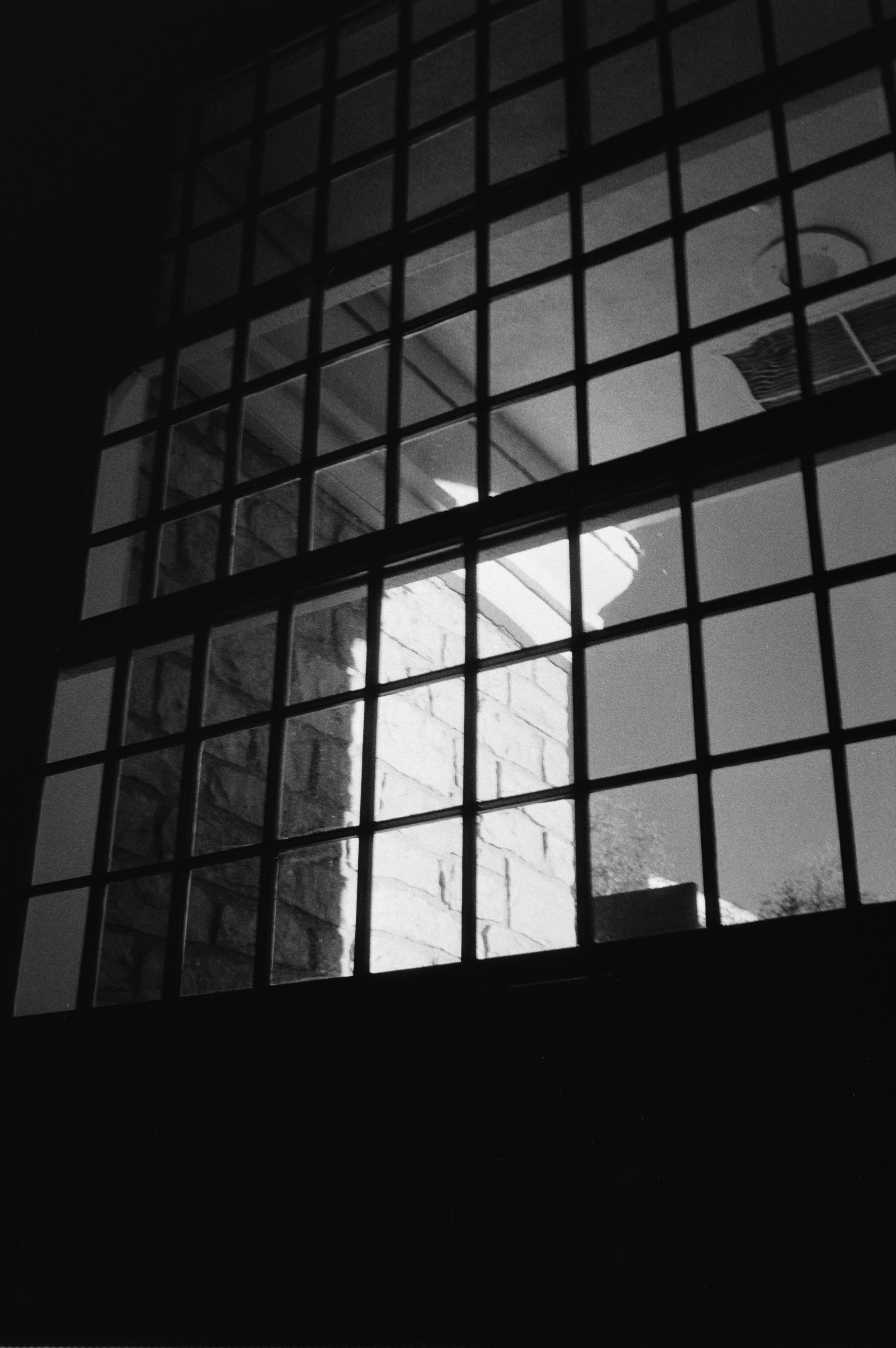 Photo by theguccer2100