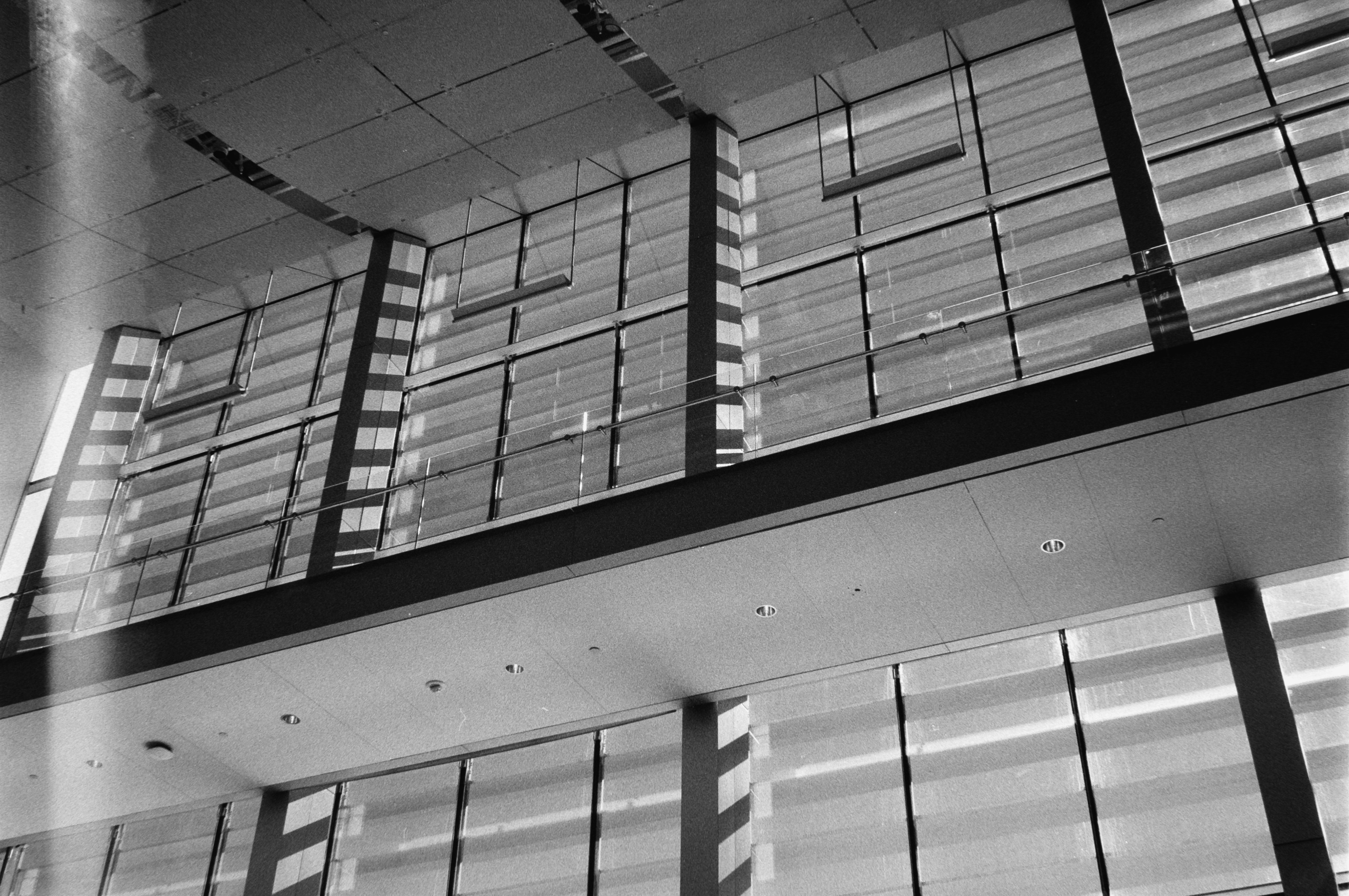 Photo by theguccer2100