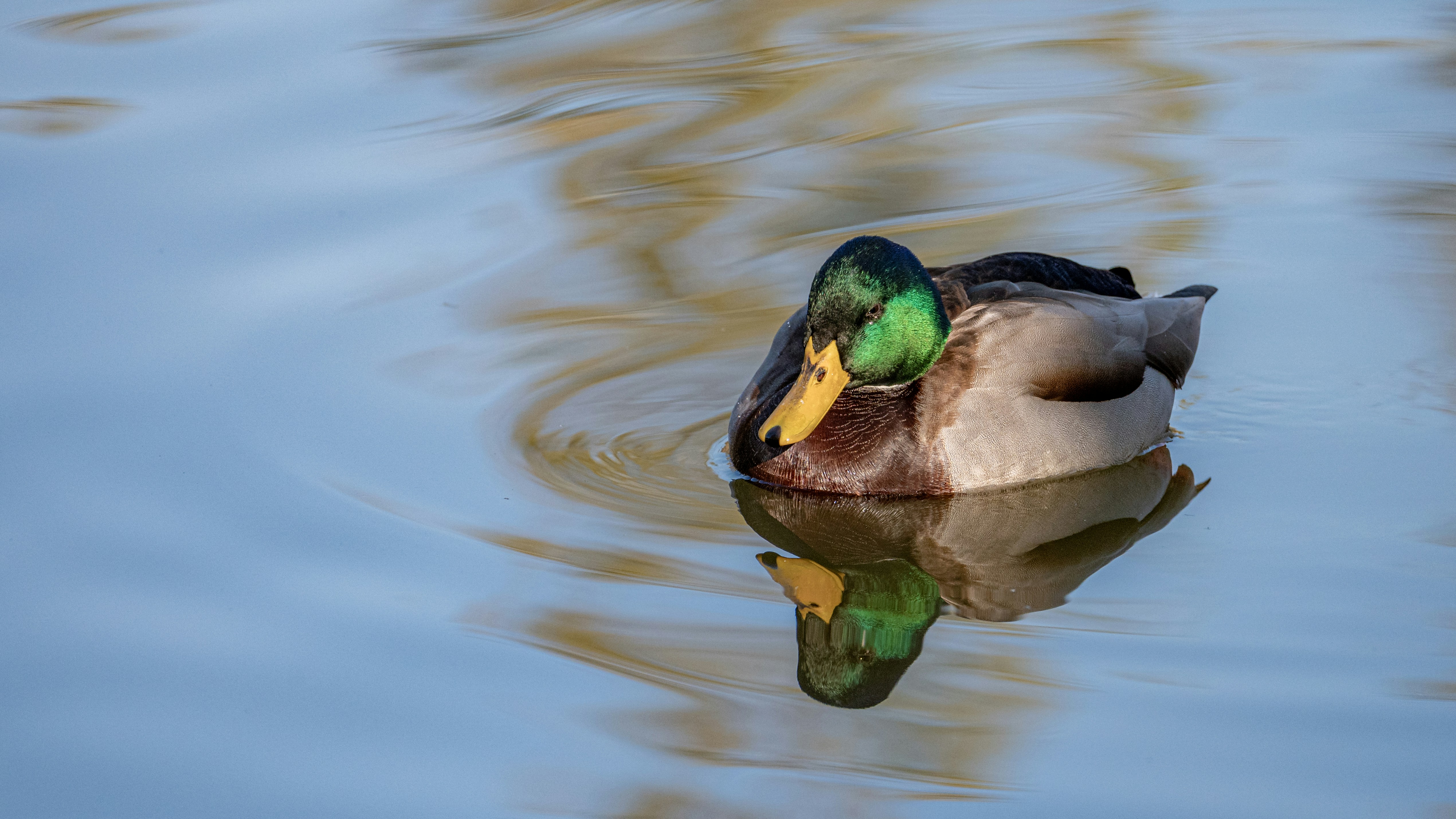 Photo by peek_a_boo_who