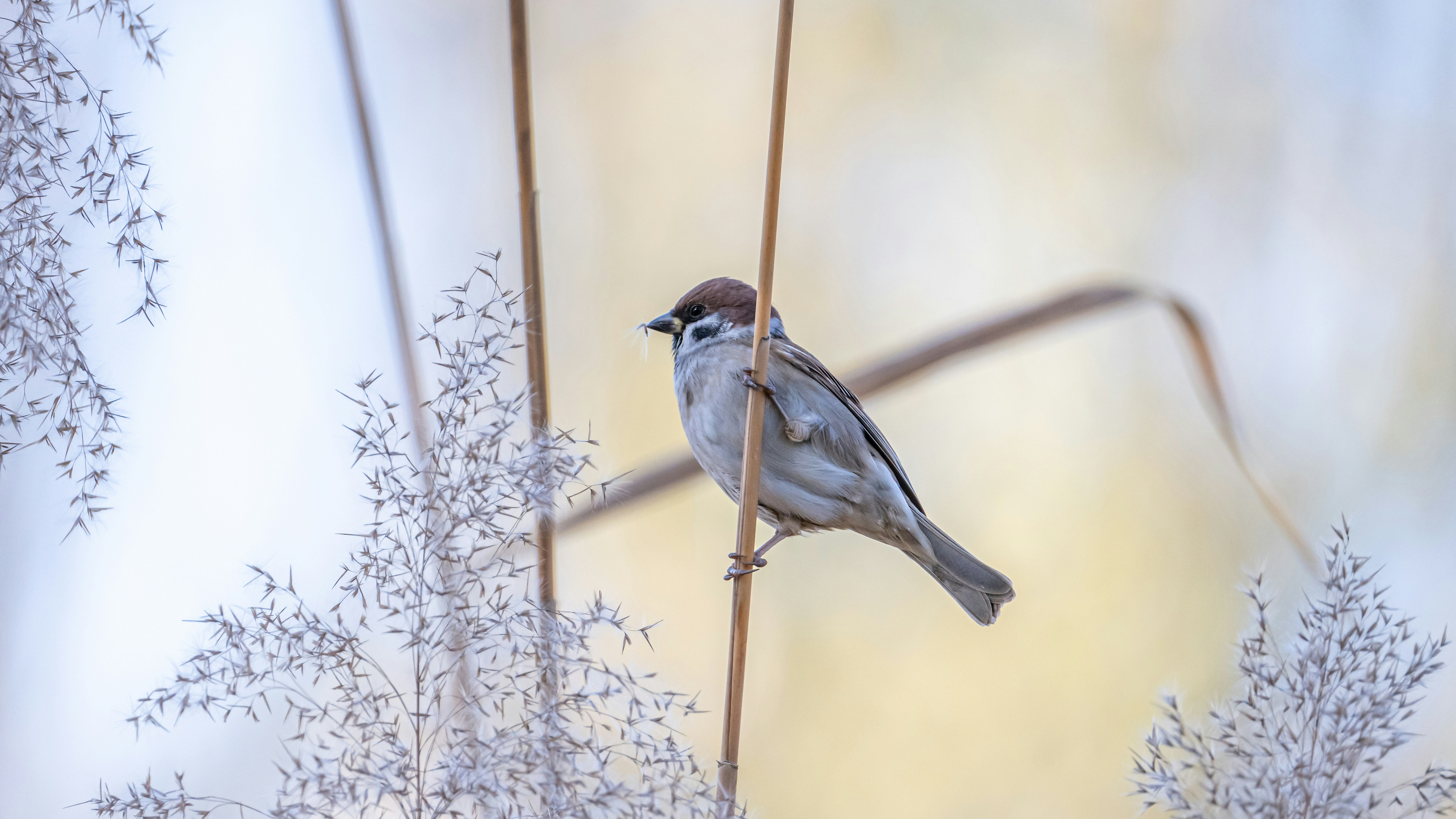 Photo by peek_a_boo_who