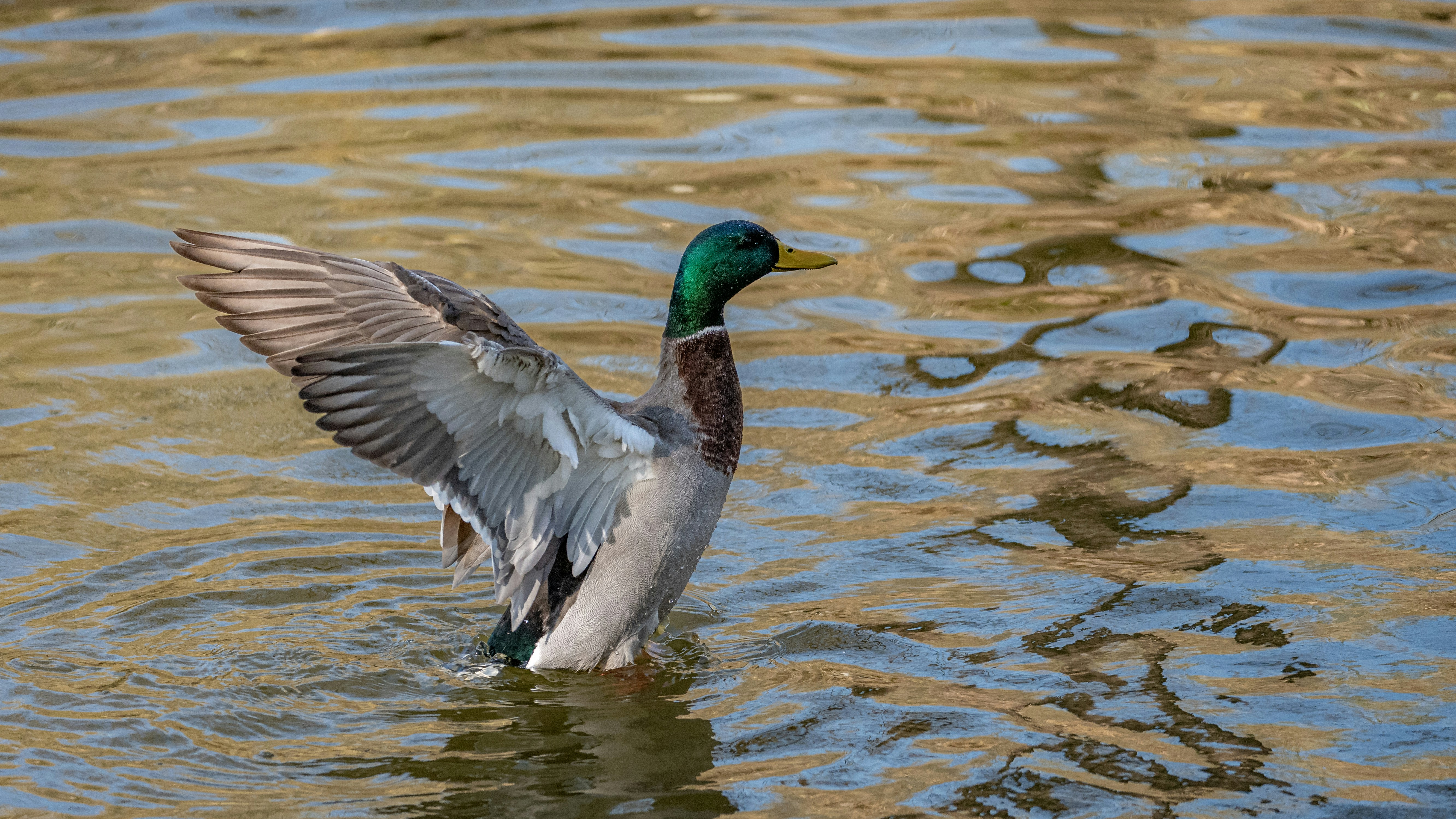 Photo by peek_a_boo_who