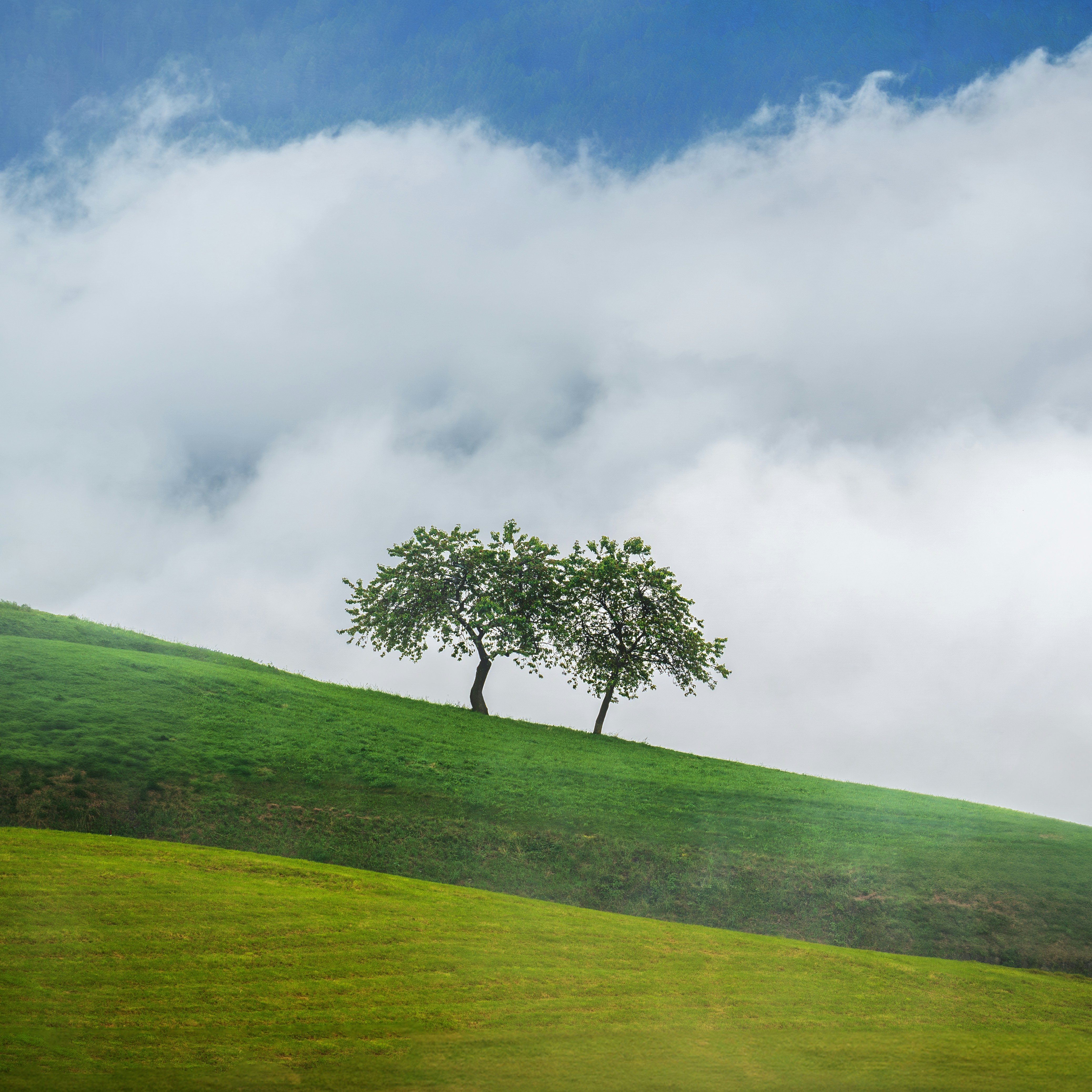 Photo by marcozzolo90