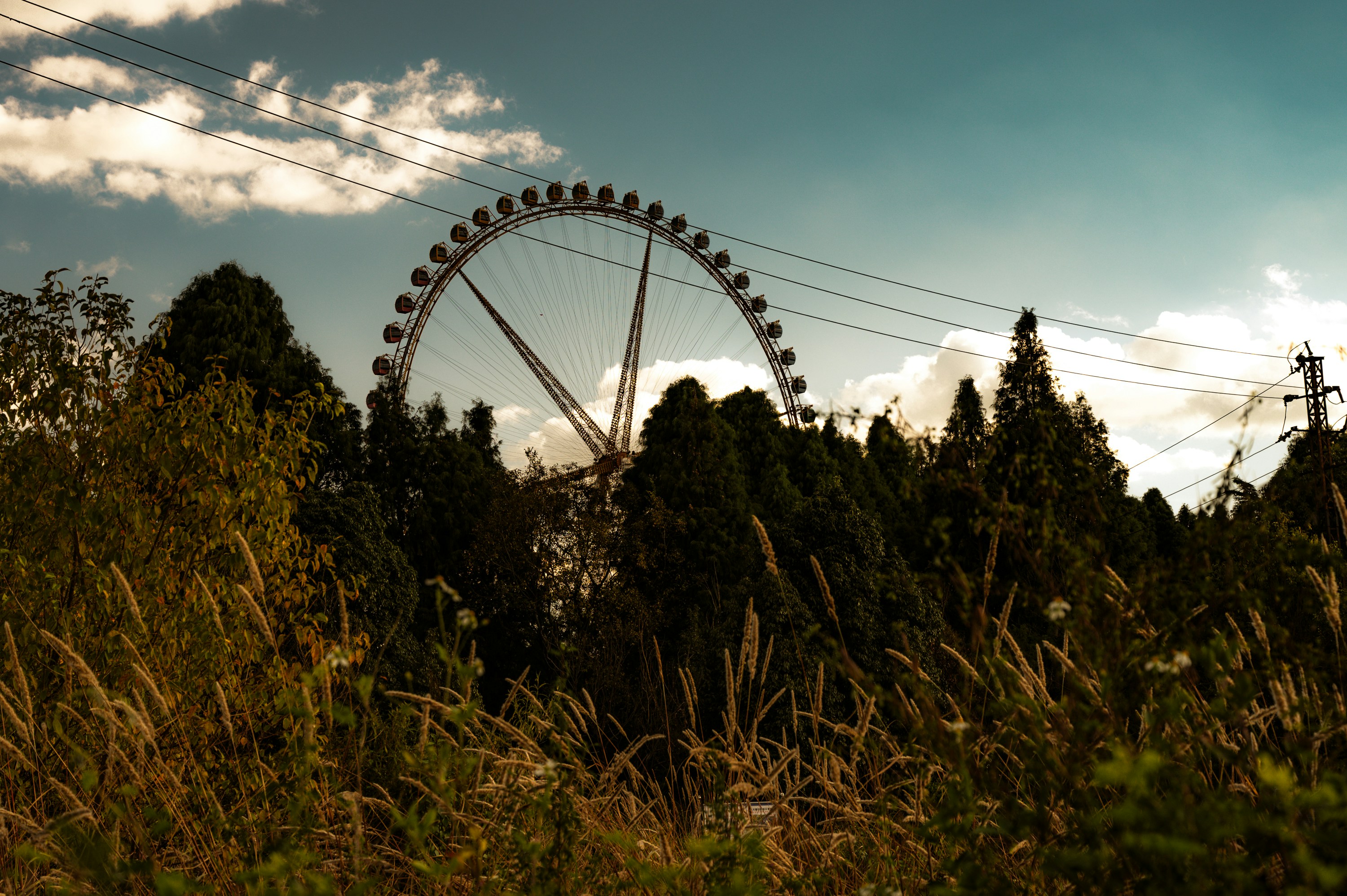 Photo by vincent_tint