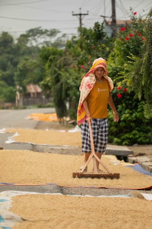 Woman raking grains spread out to dry