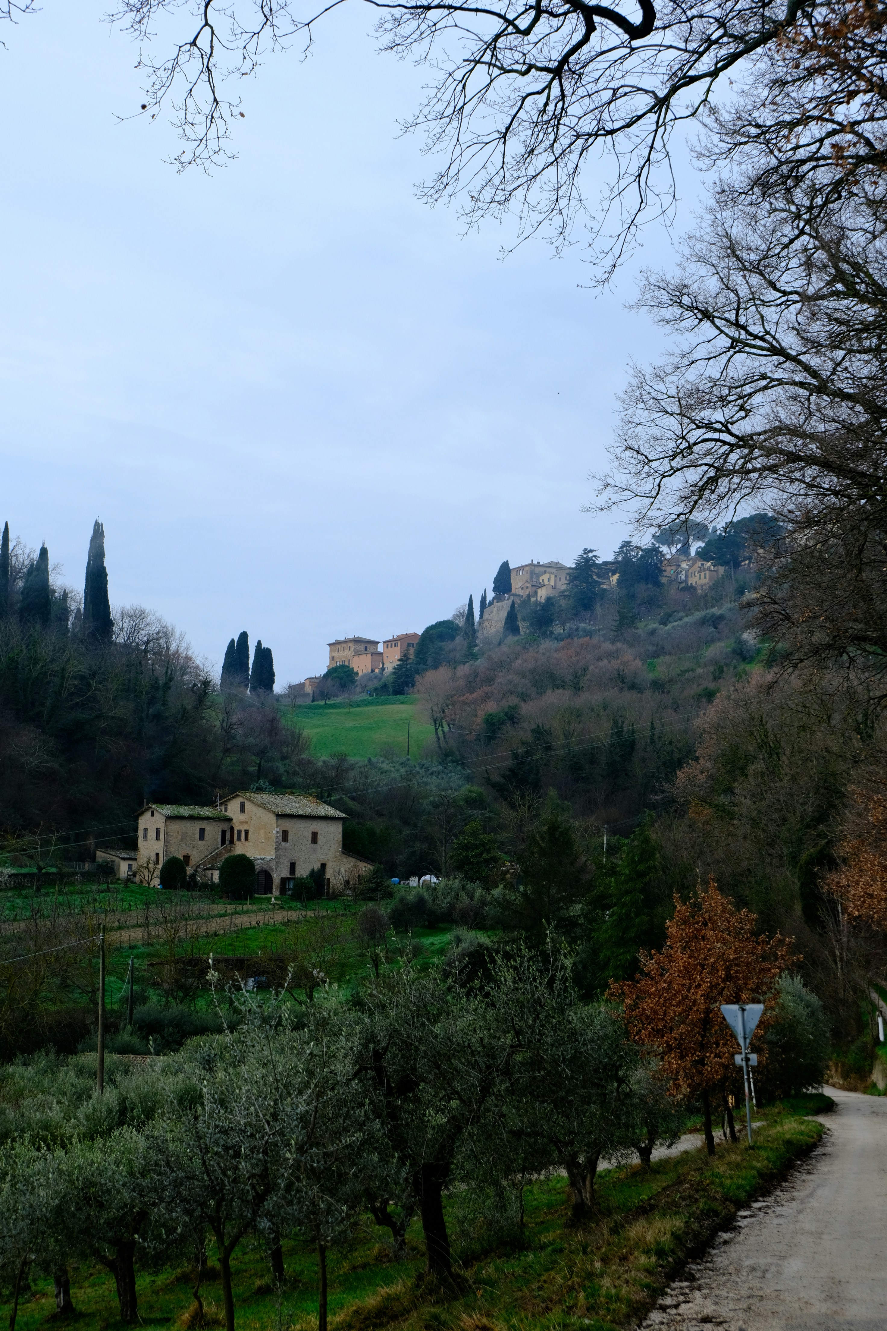 Photo by jlobera