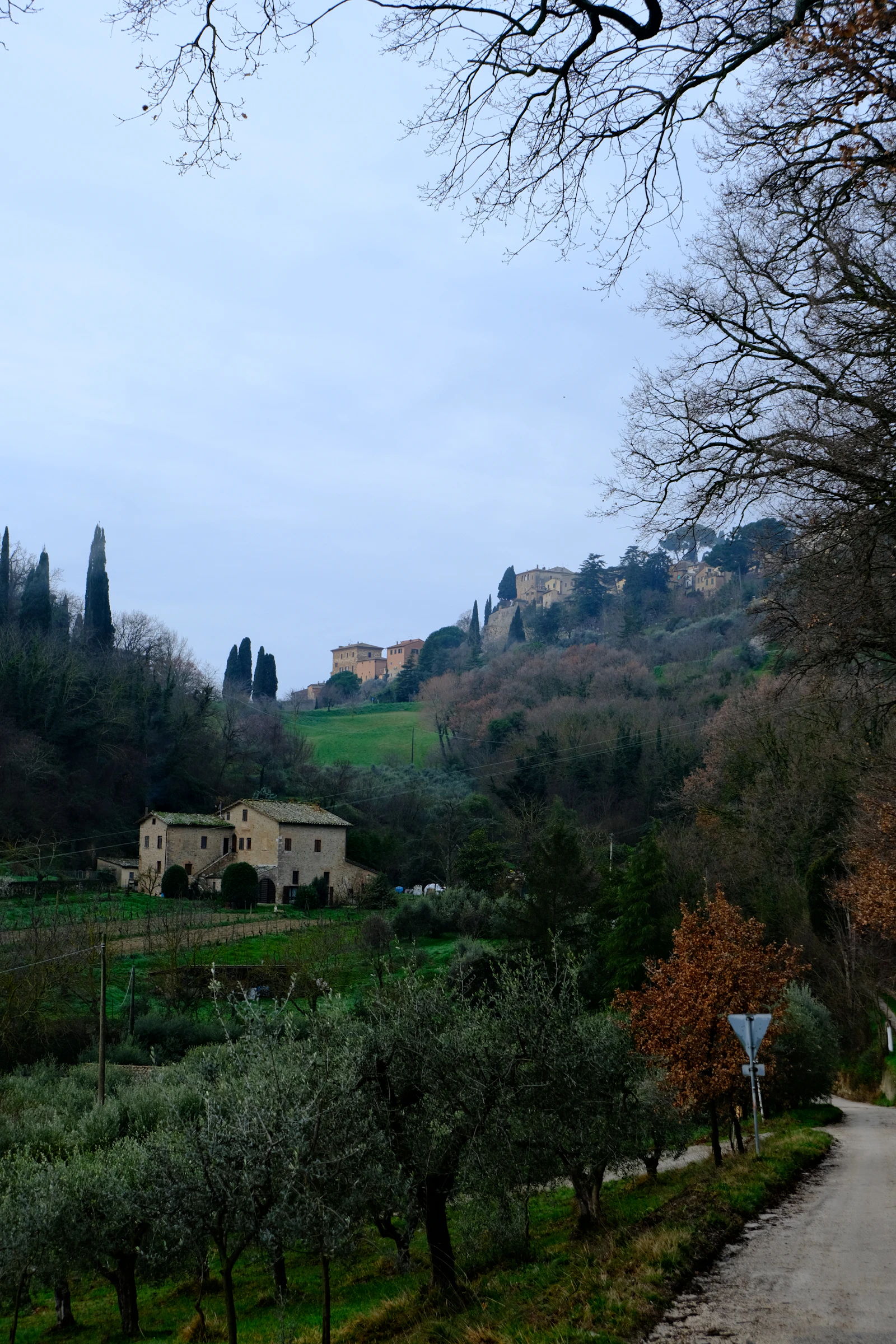 Tuscan hill town above green fields and cypress trees