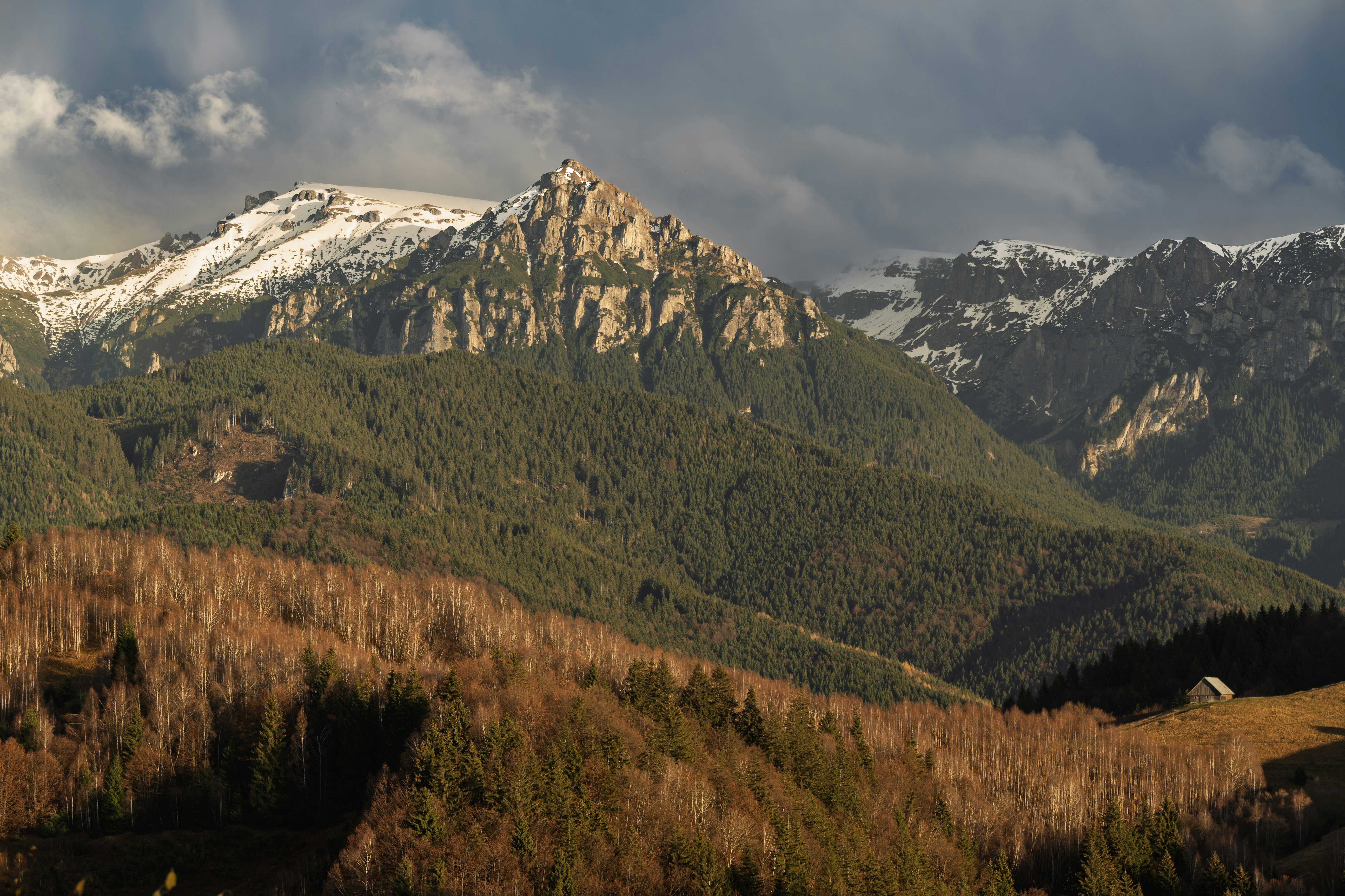 Snow-capped mountains overlook a forest with a small cabin.