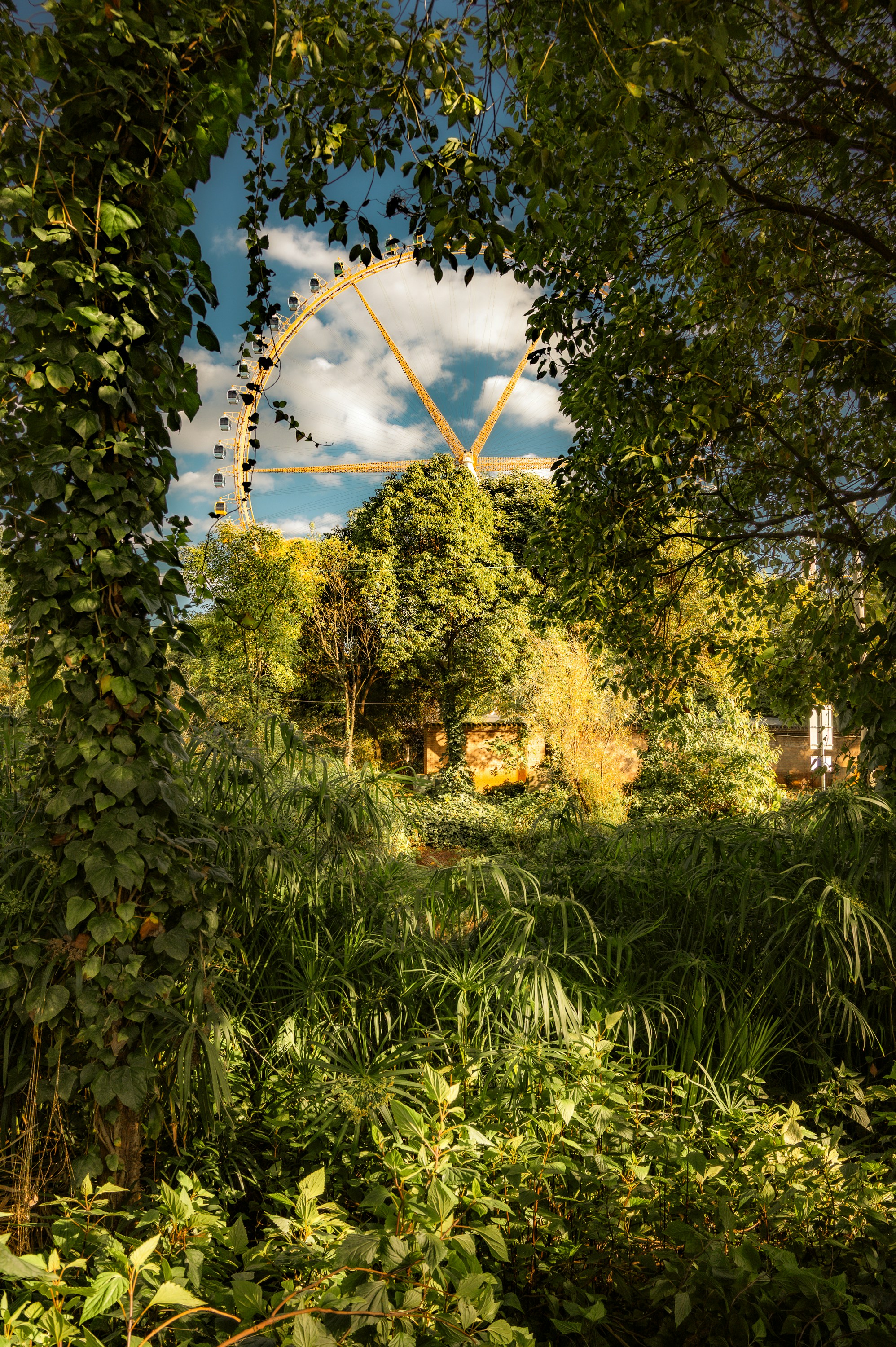 Photo by vincent_tint