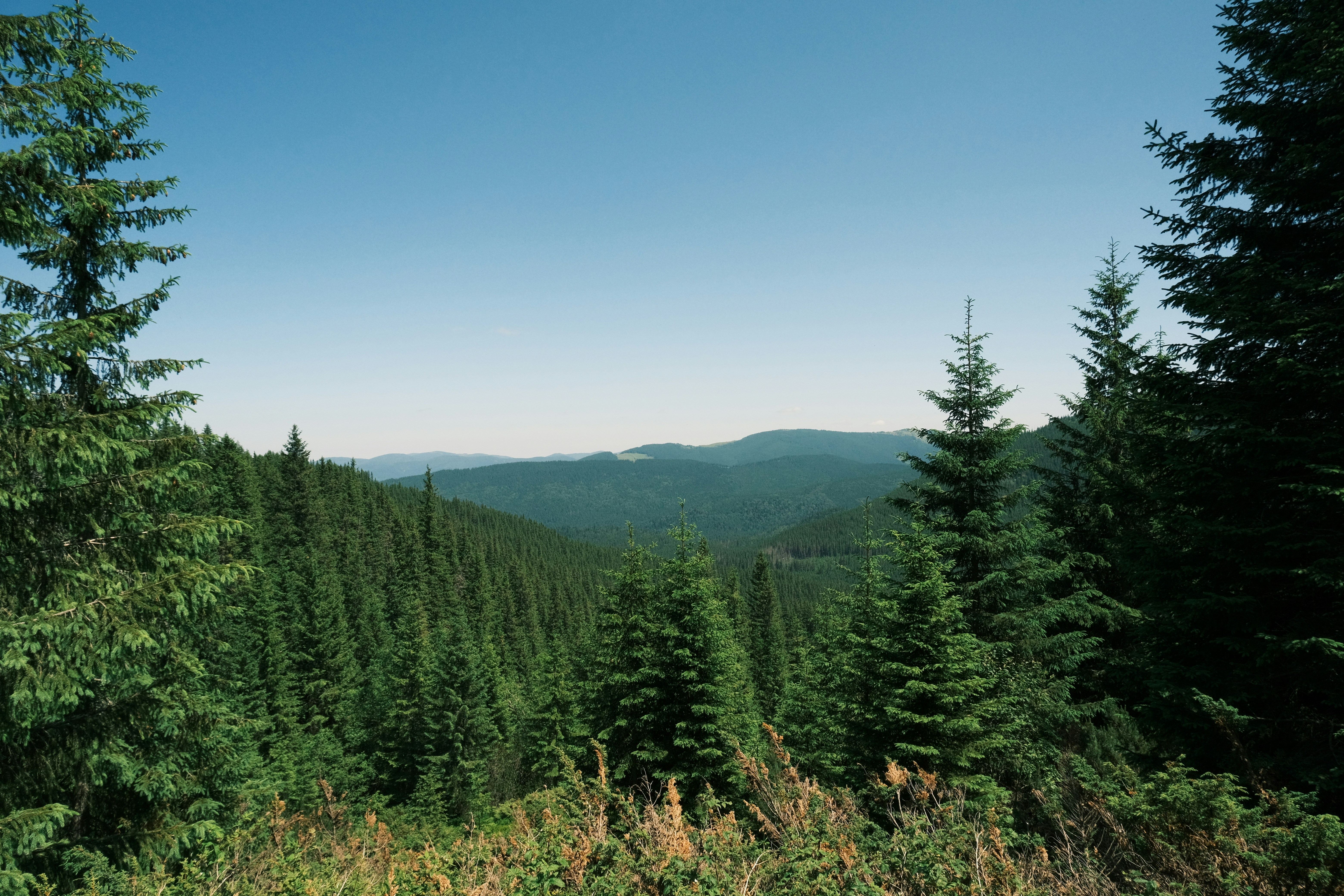 Photo by r_inascimento