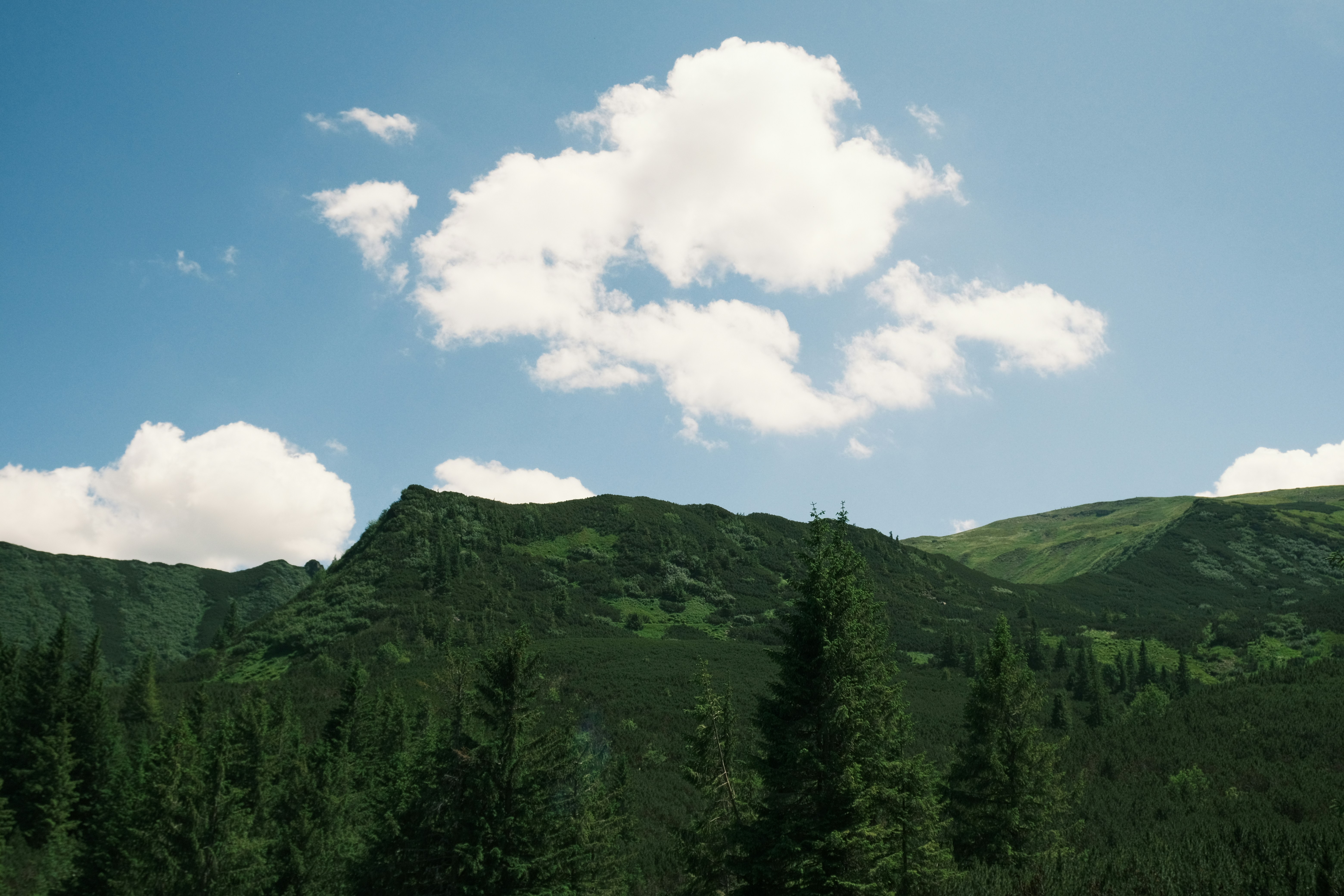 Photo by r_inascimento