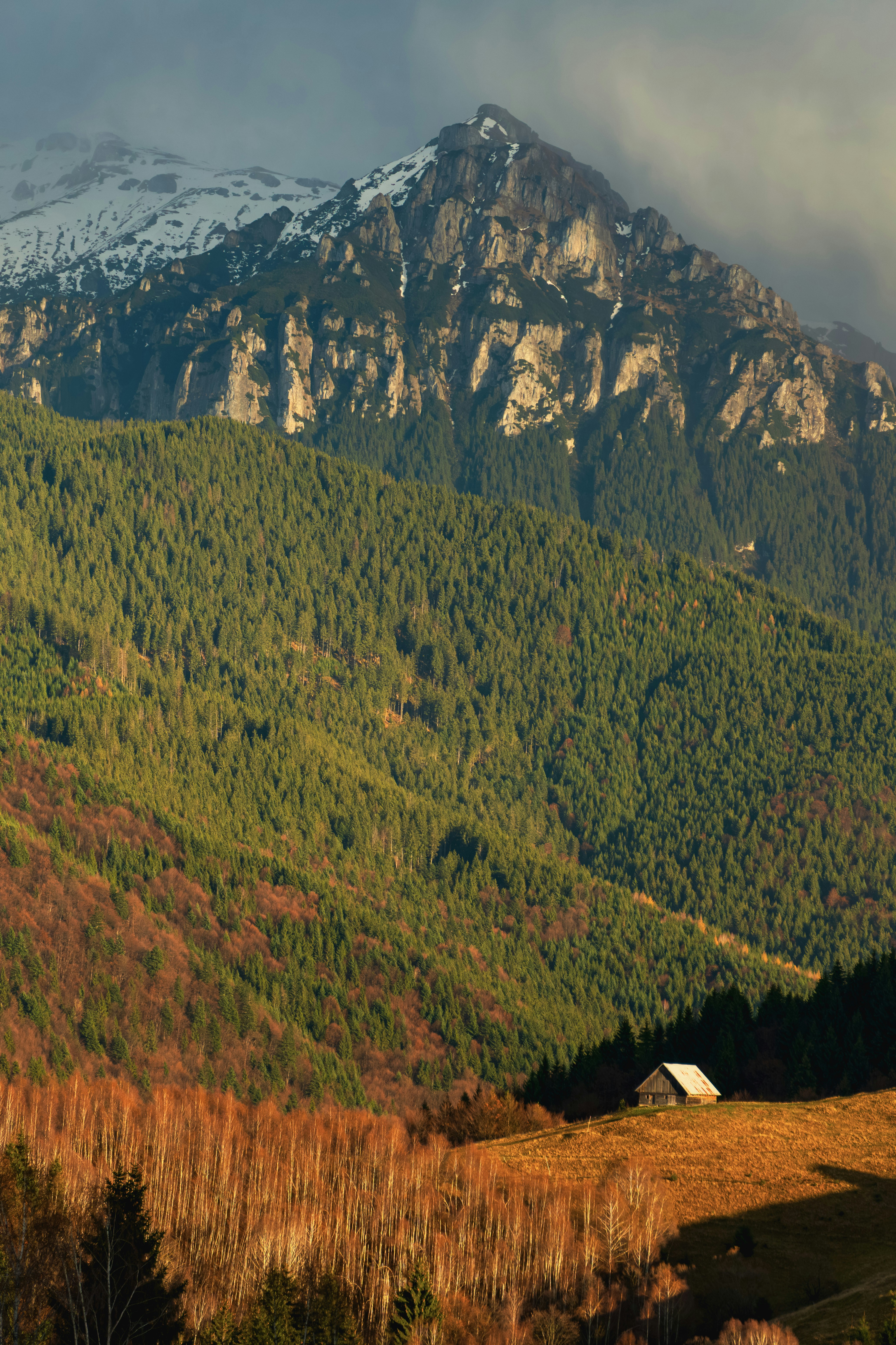 Wooden cabin nestled in a sunlit mountain landscape