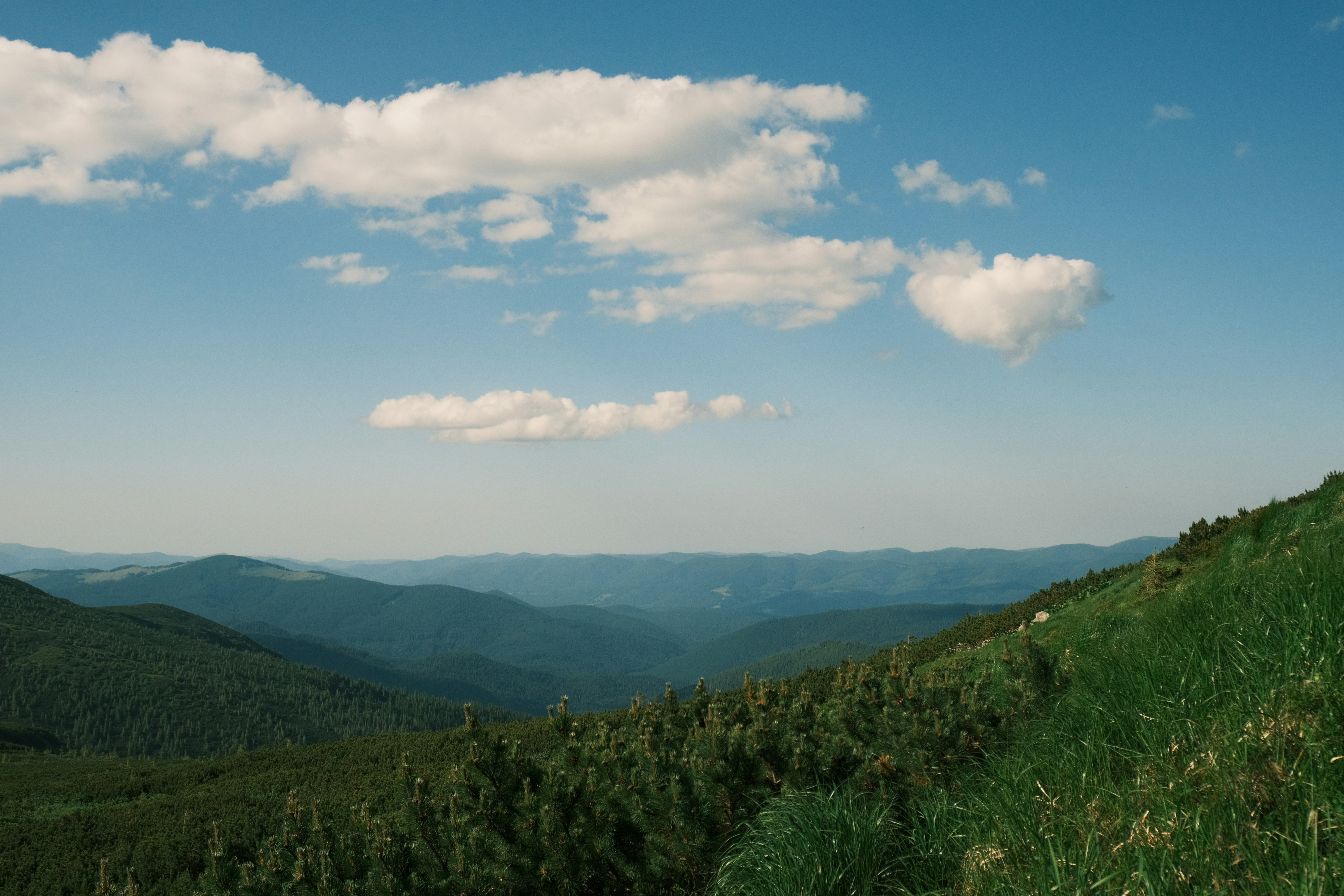 Photo by r_inascimento