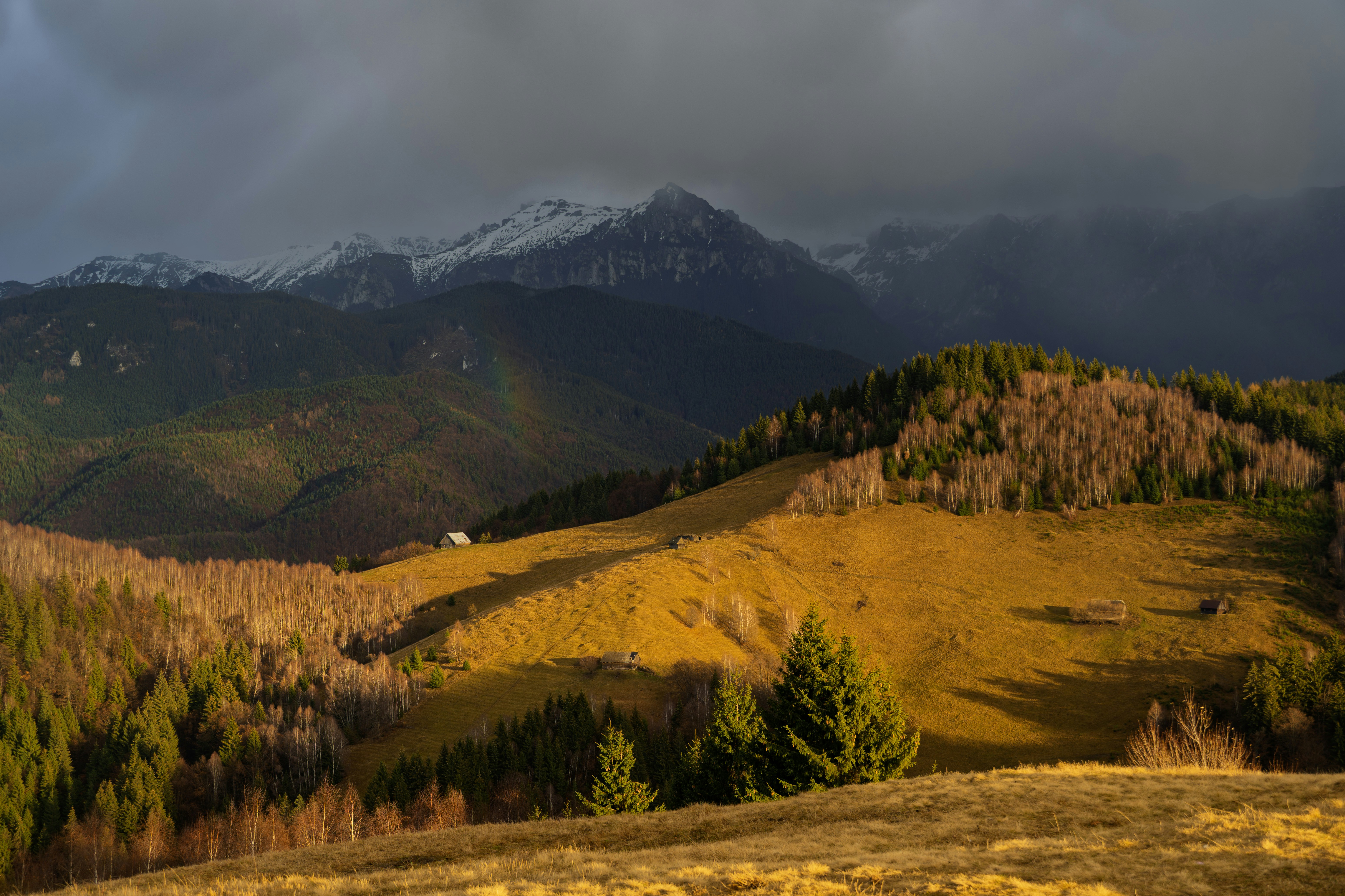 Golden hills with snow-capped mountains under stormy sky