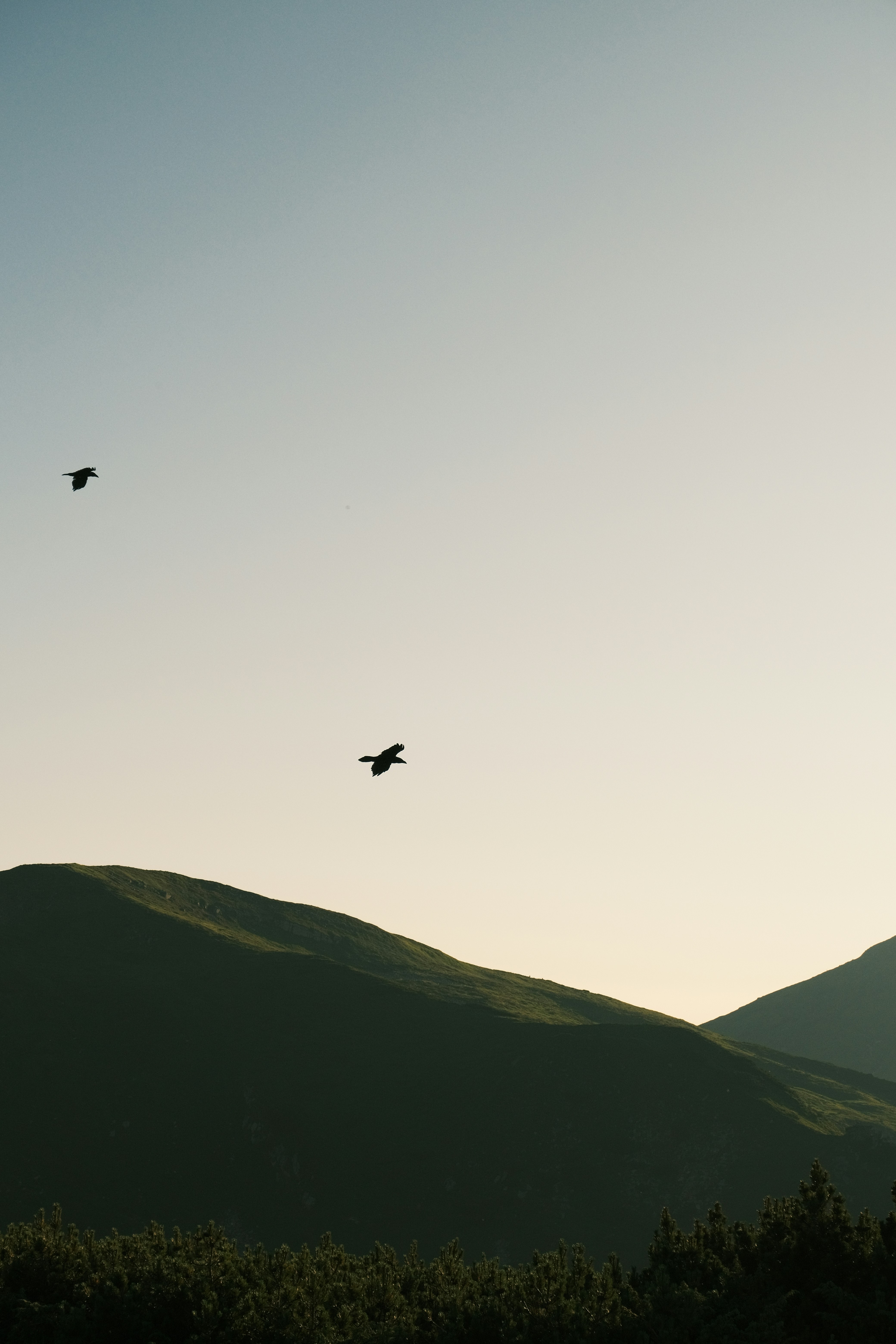 Photo by r_inascimento