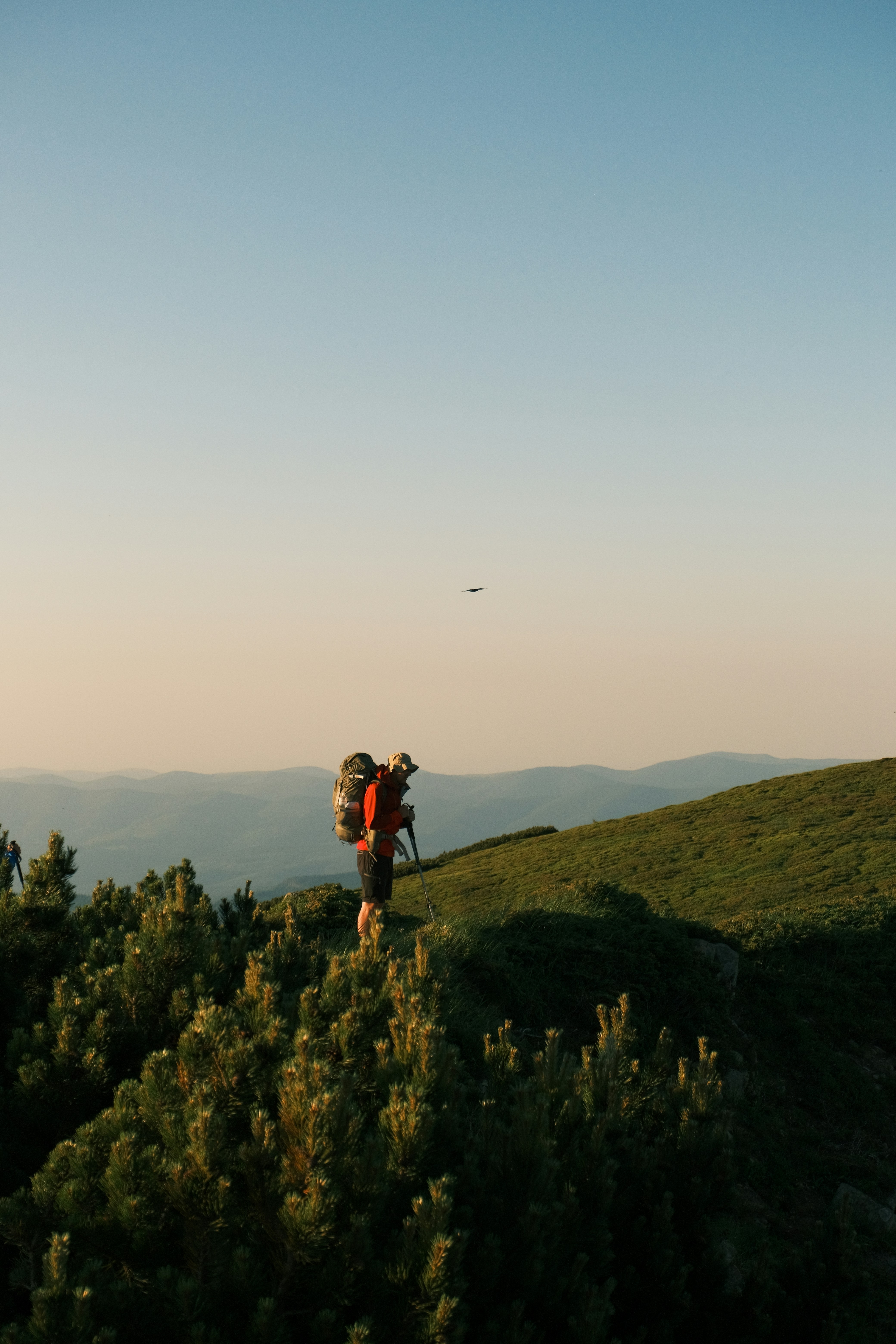 Photo by r_inascimento