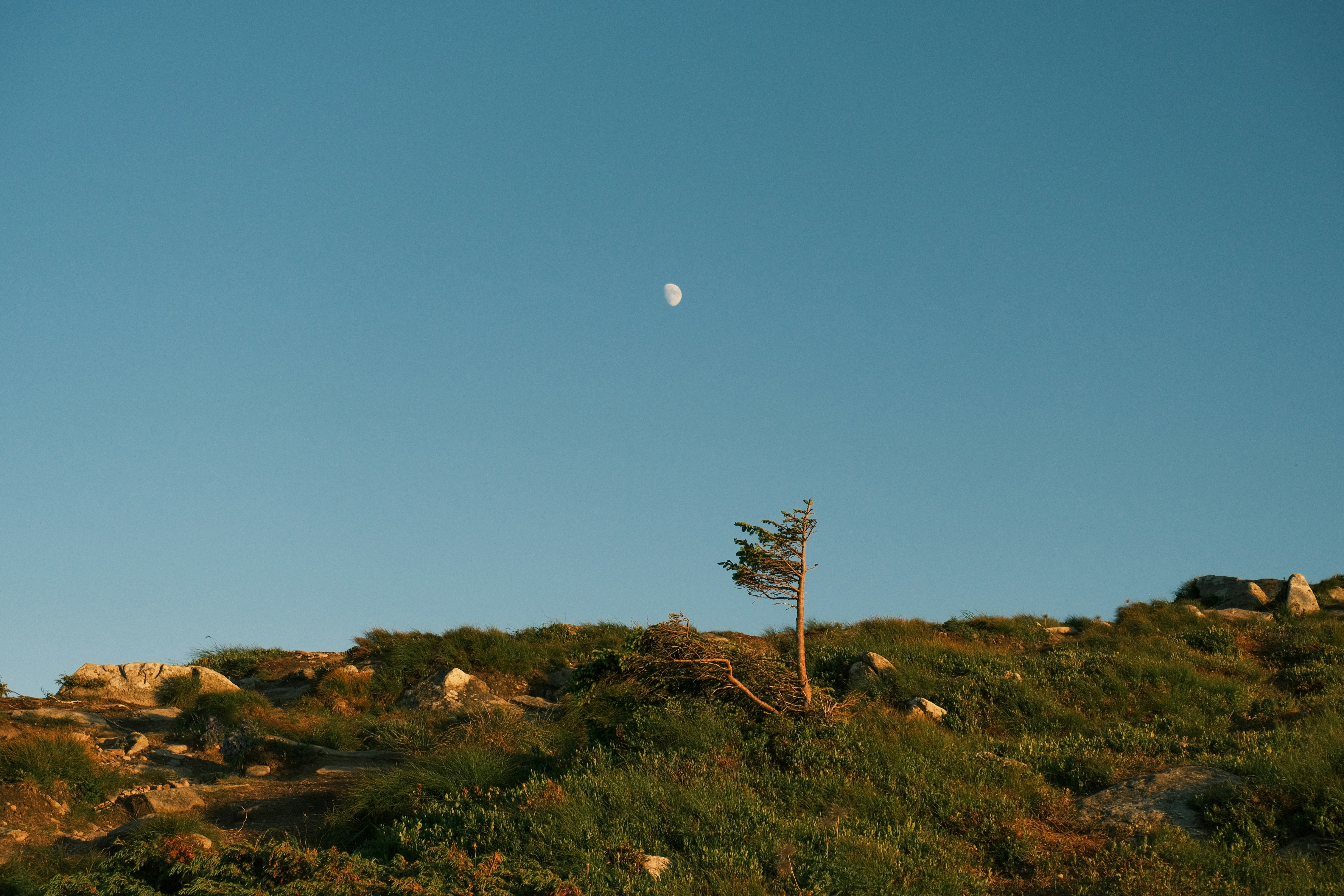 Photo by r_inascimento