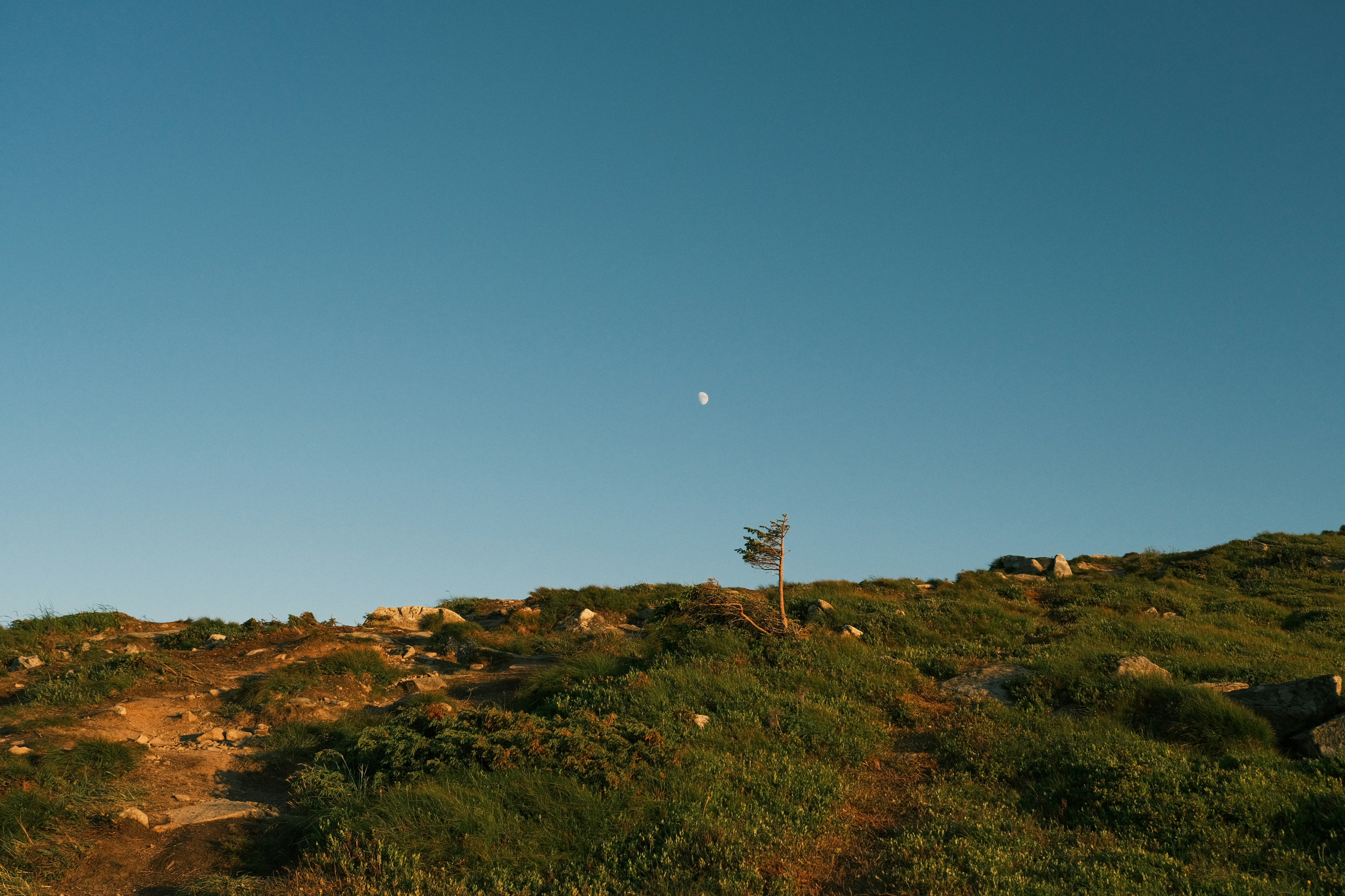 Photo by r_inascimento