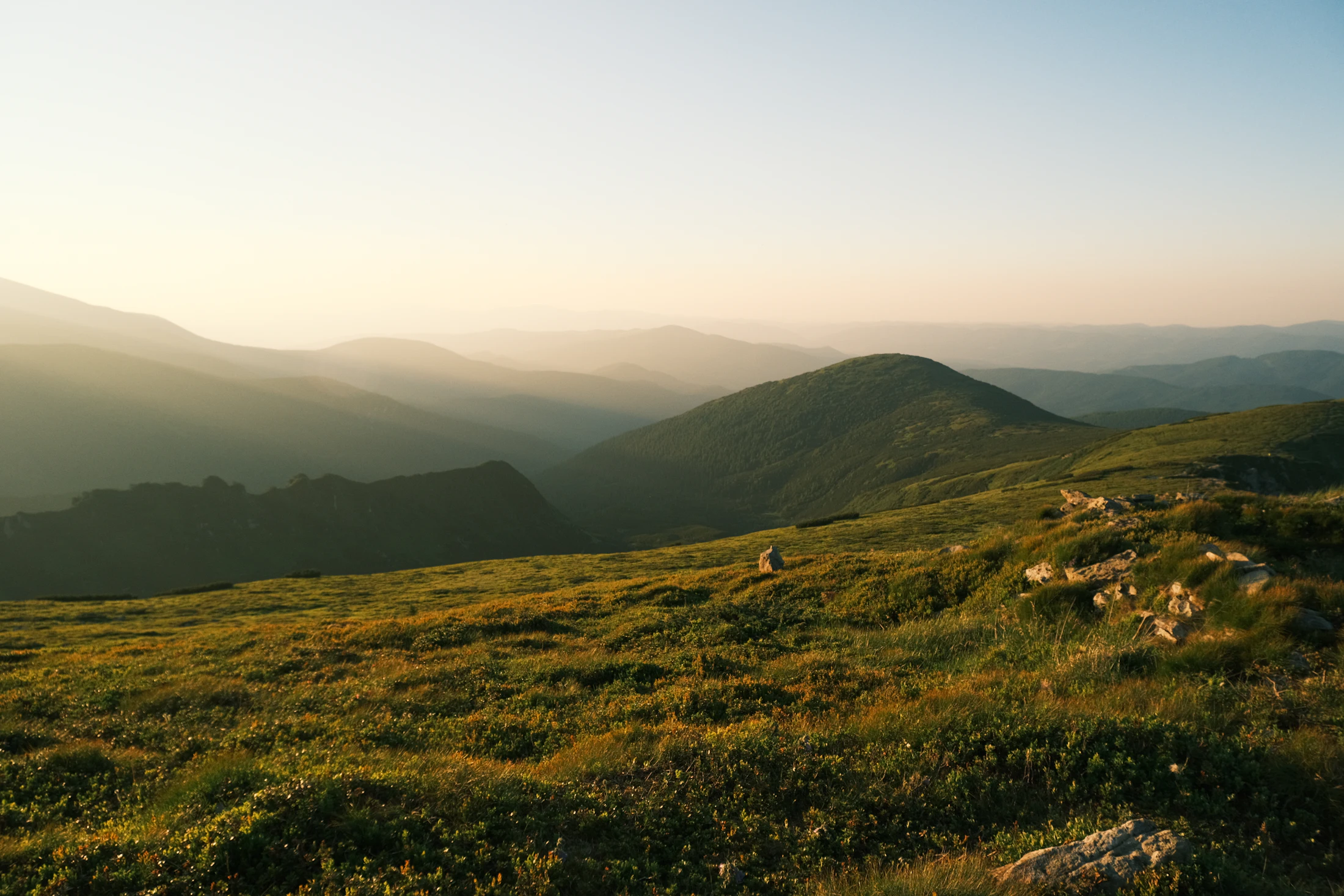 Des collines qui s’étagent jusqu’à l’horizon dans la lumière chaude du soir, herbes dorées au premier plan.