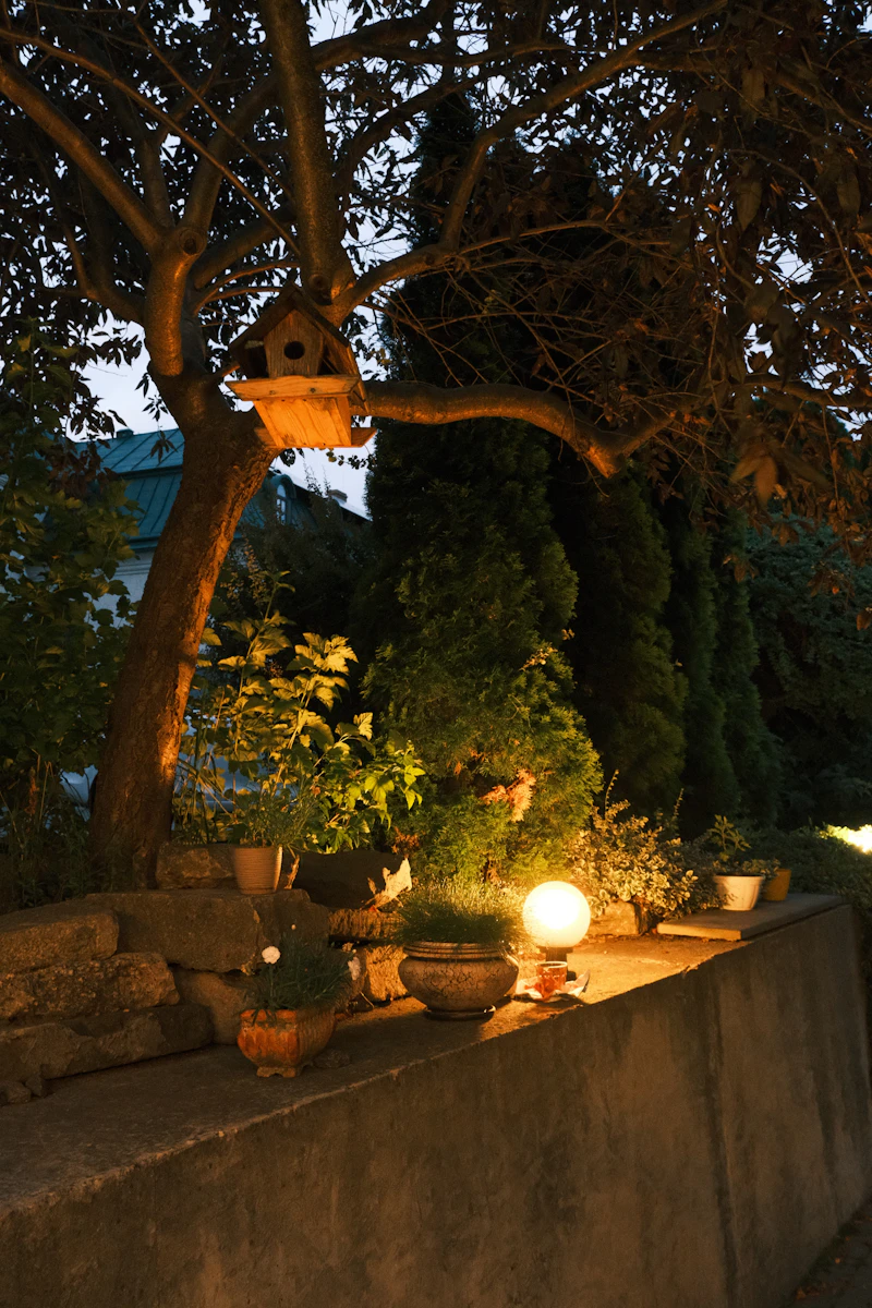 Garden pathway and feature lighting at night