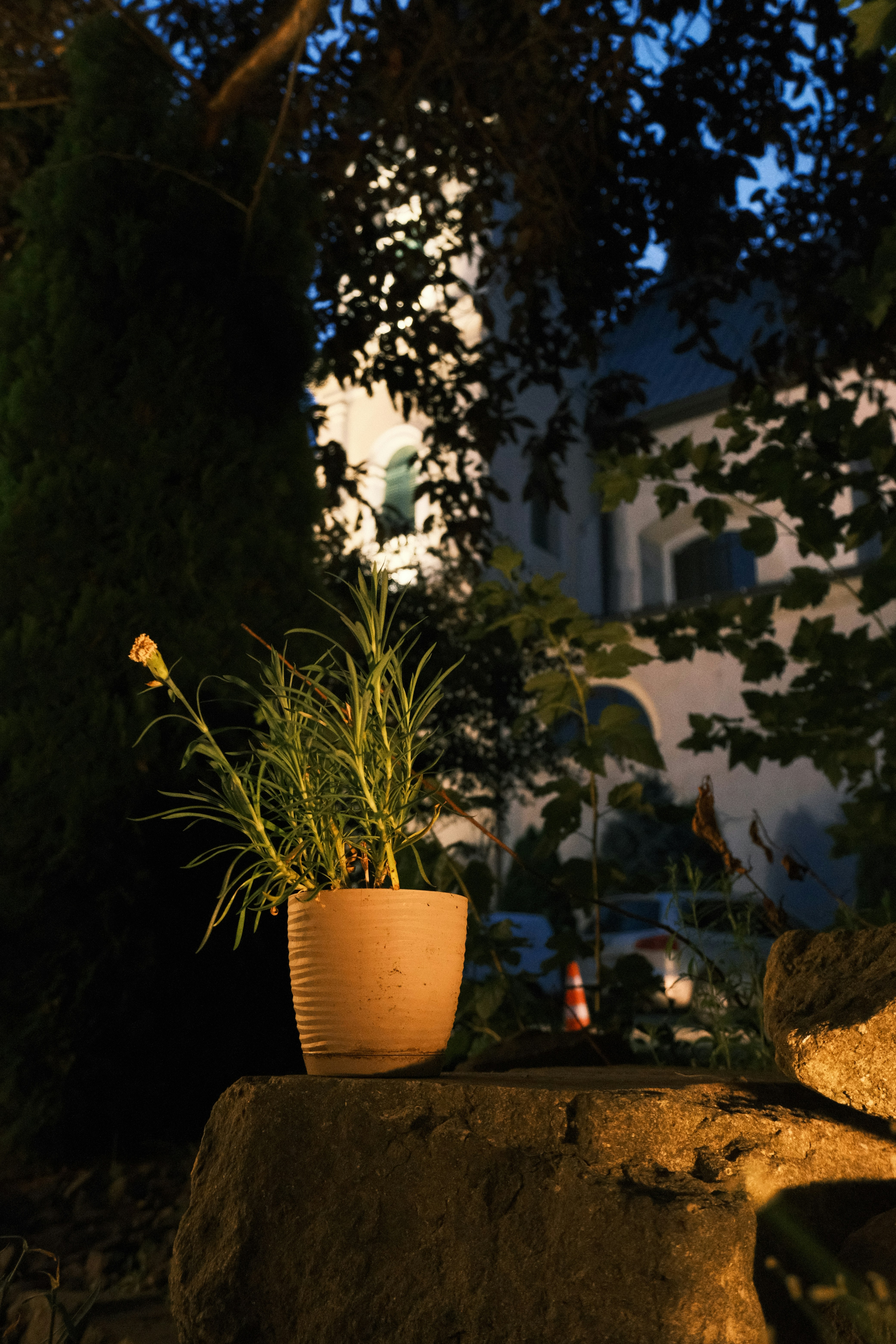 The Evolution of Garden Accent Systems in 2026: Sensor Candles, Sustainable Ceramics, and Pop‑Up Merch Strategies