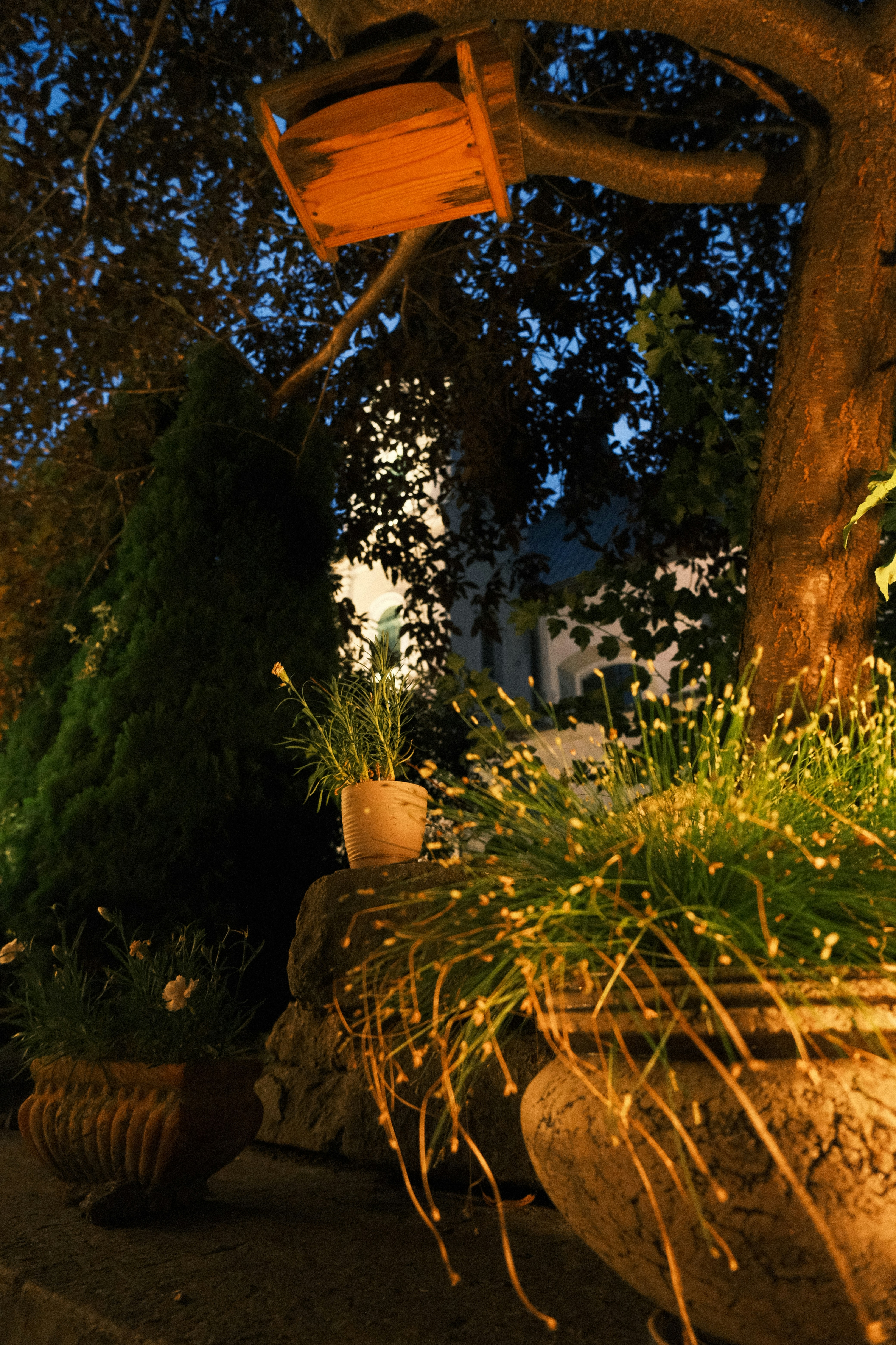 Photo by r_inascimento