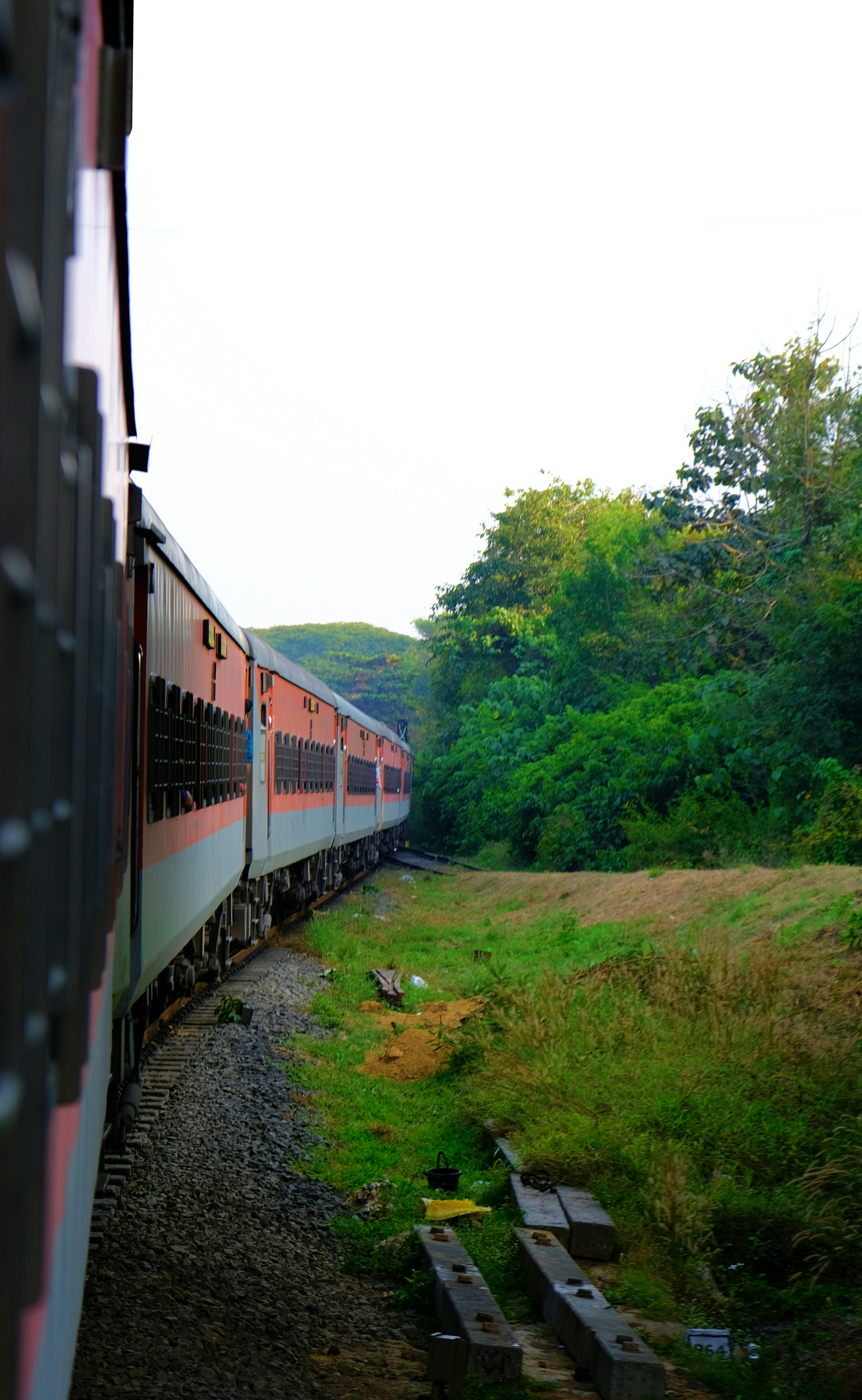 Photo by shanewester