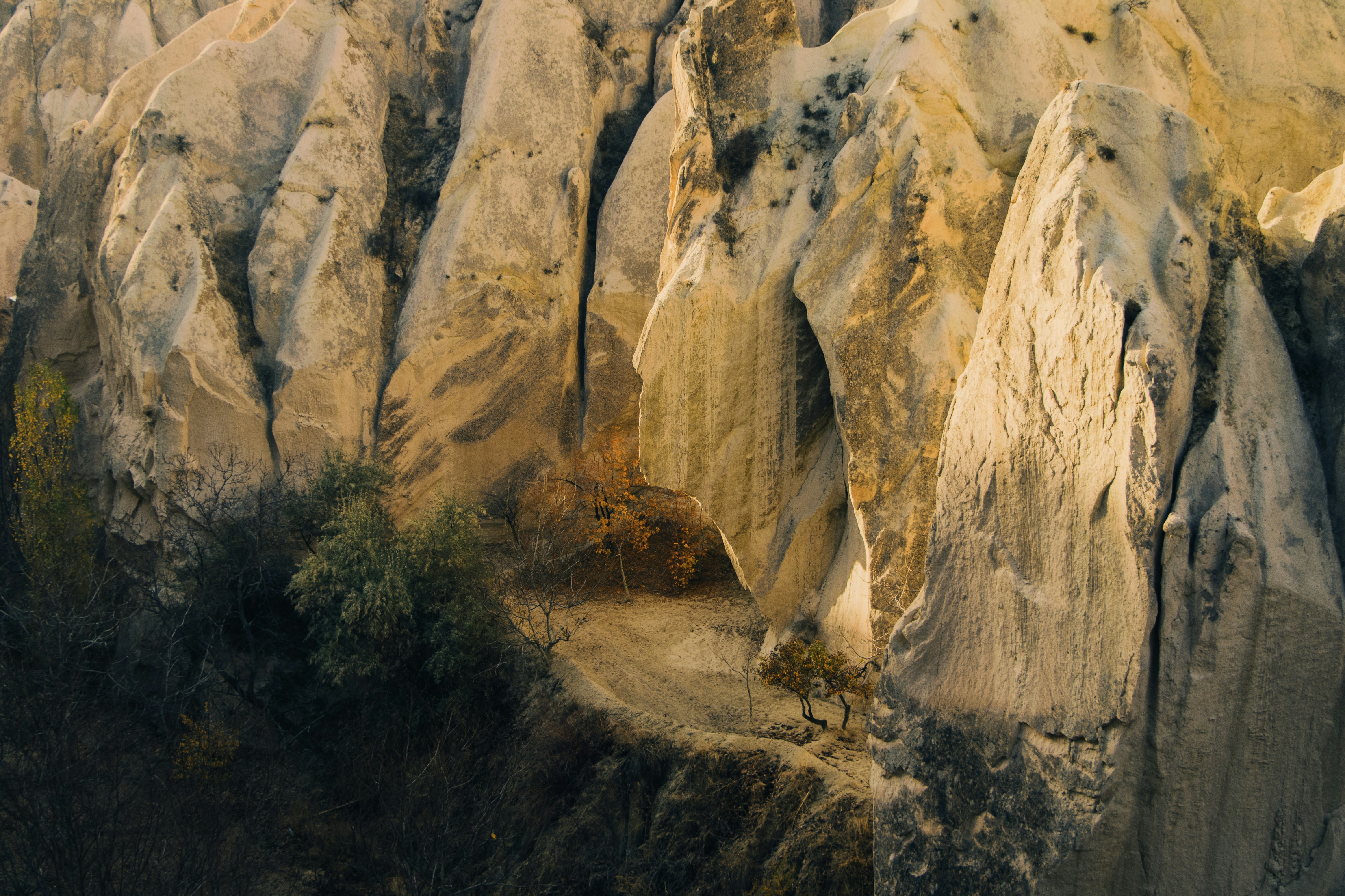 Unusual rock formations with sparse vegetation