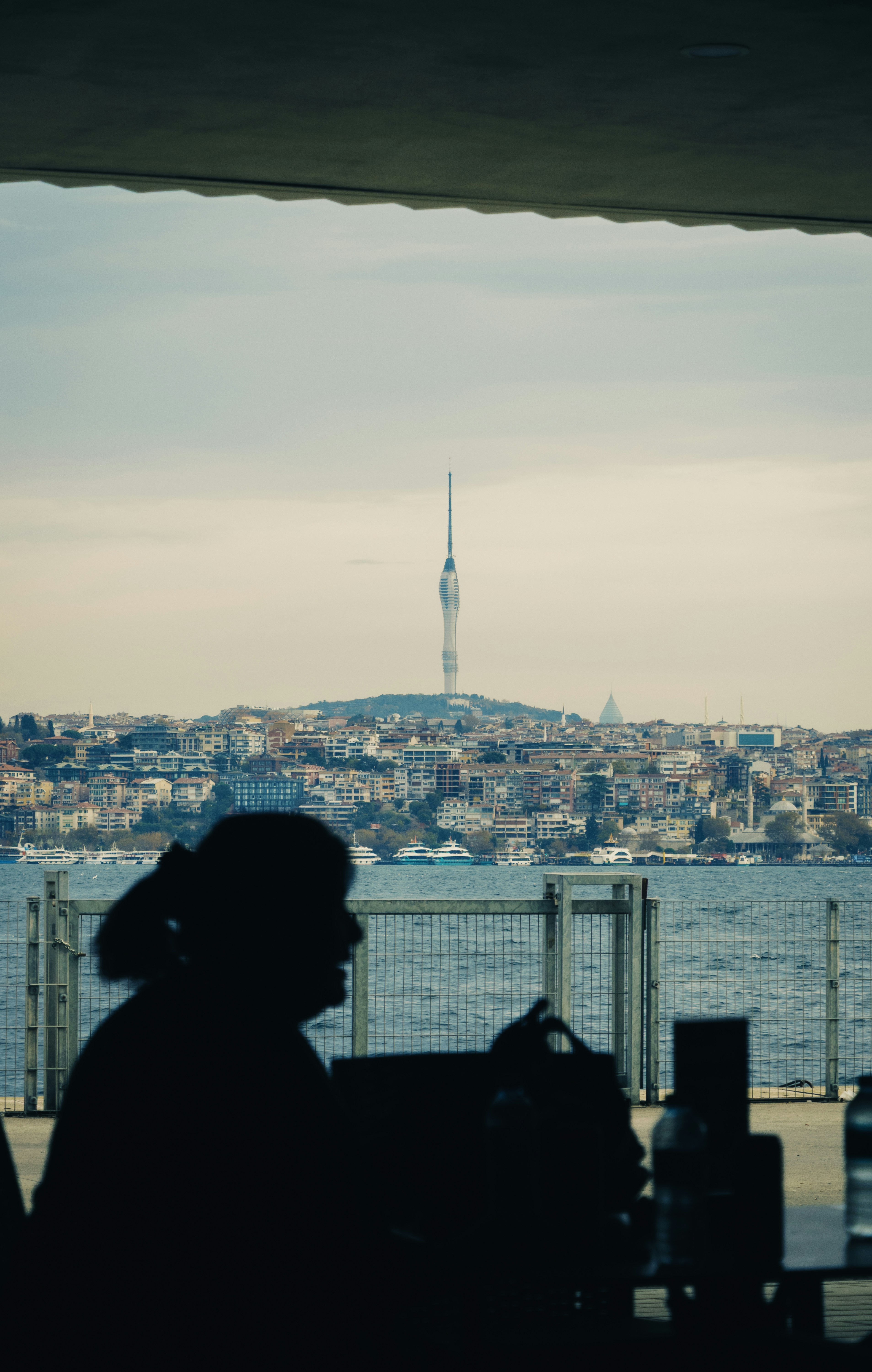 Silhouette of woman overlooking city and water