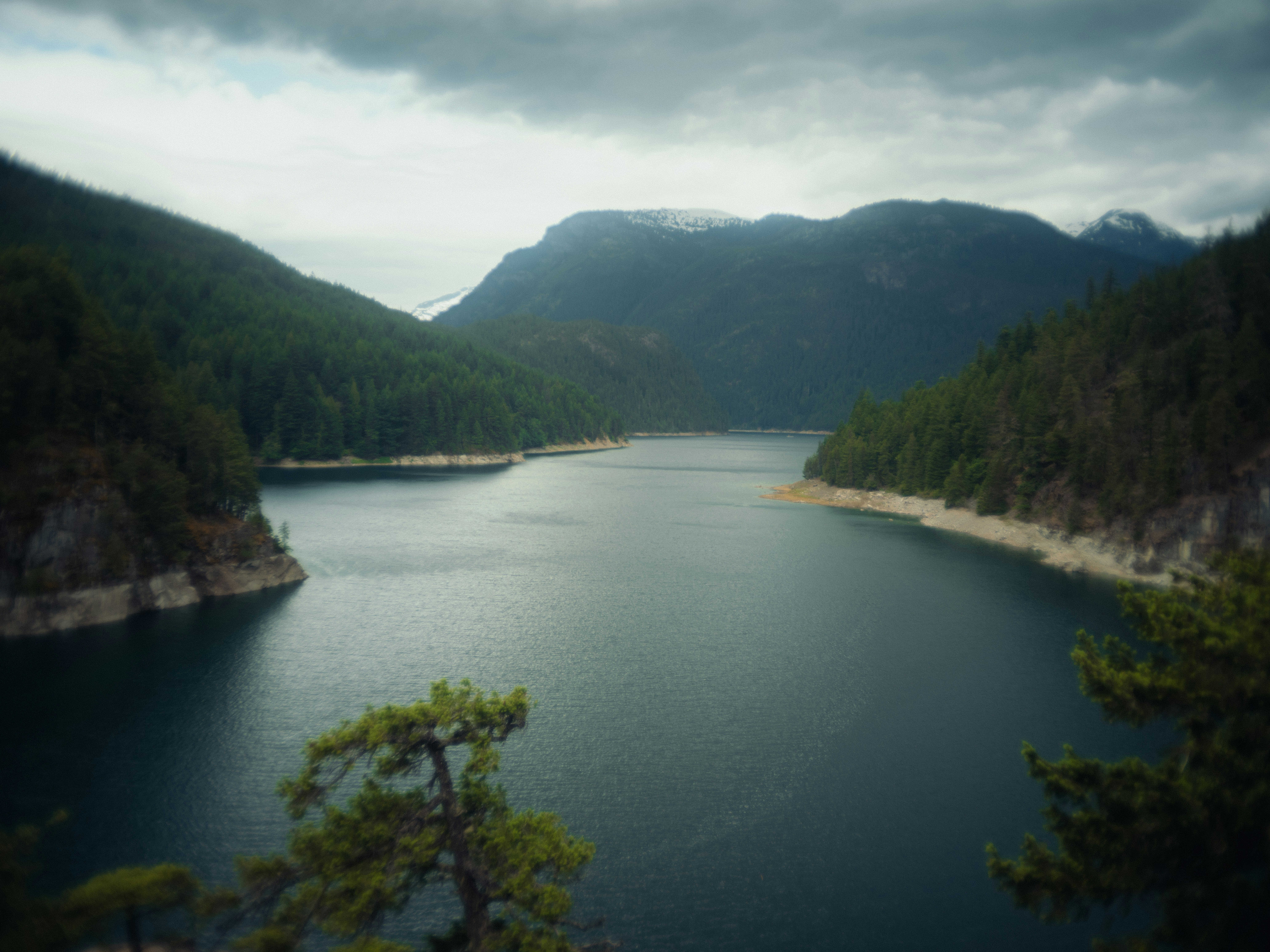 Photo by waylandmedia