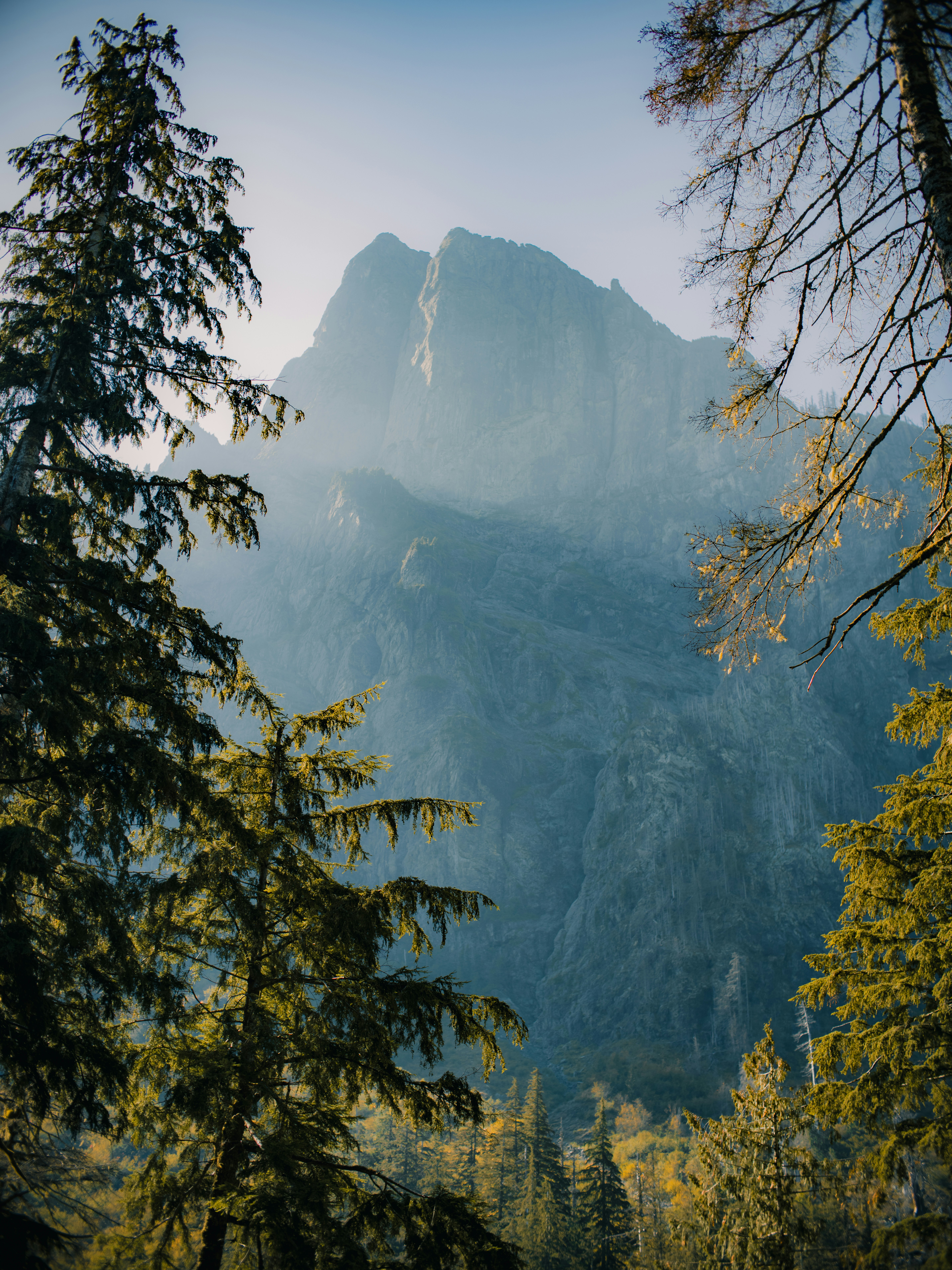 Photo by waylandmedia