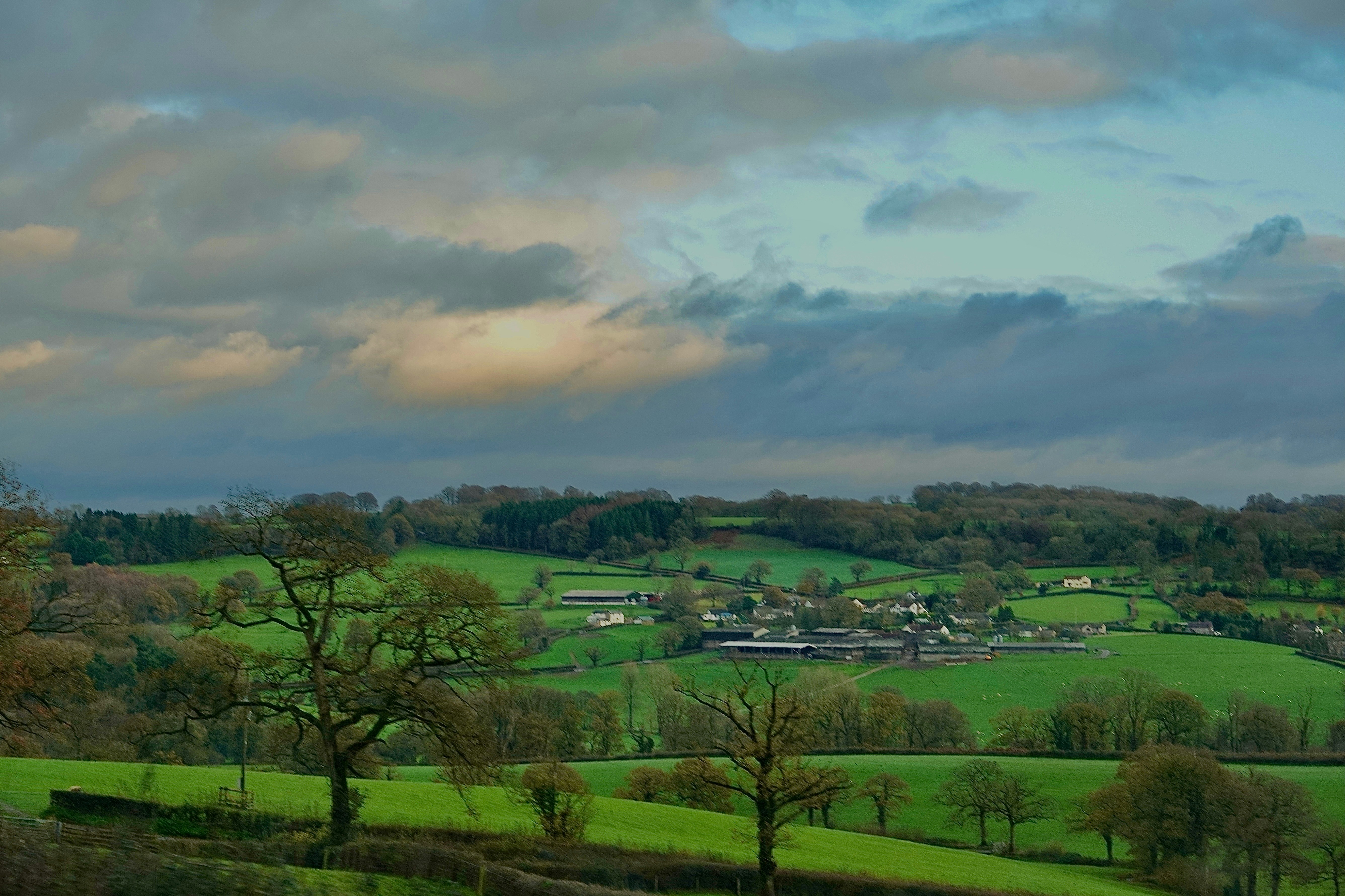 Photo by priyankachechi29