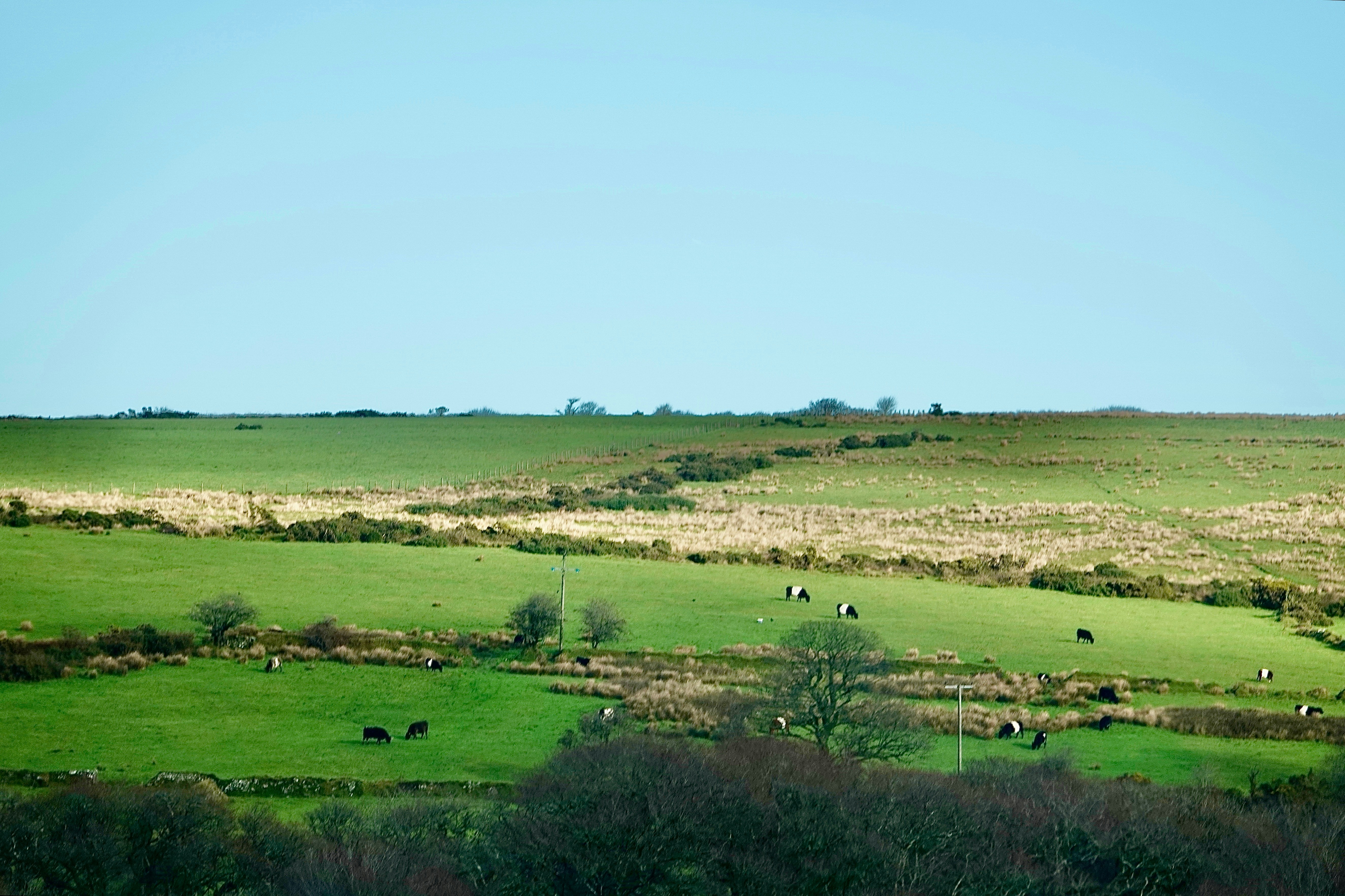 Photo by priyankachechi29