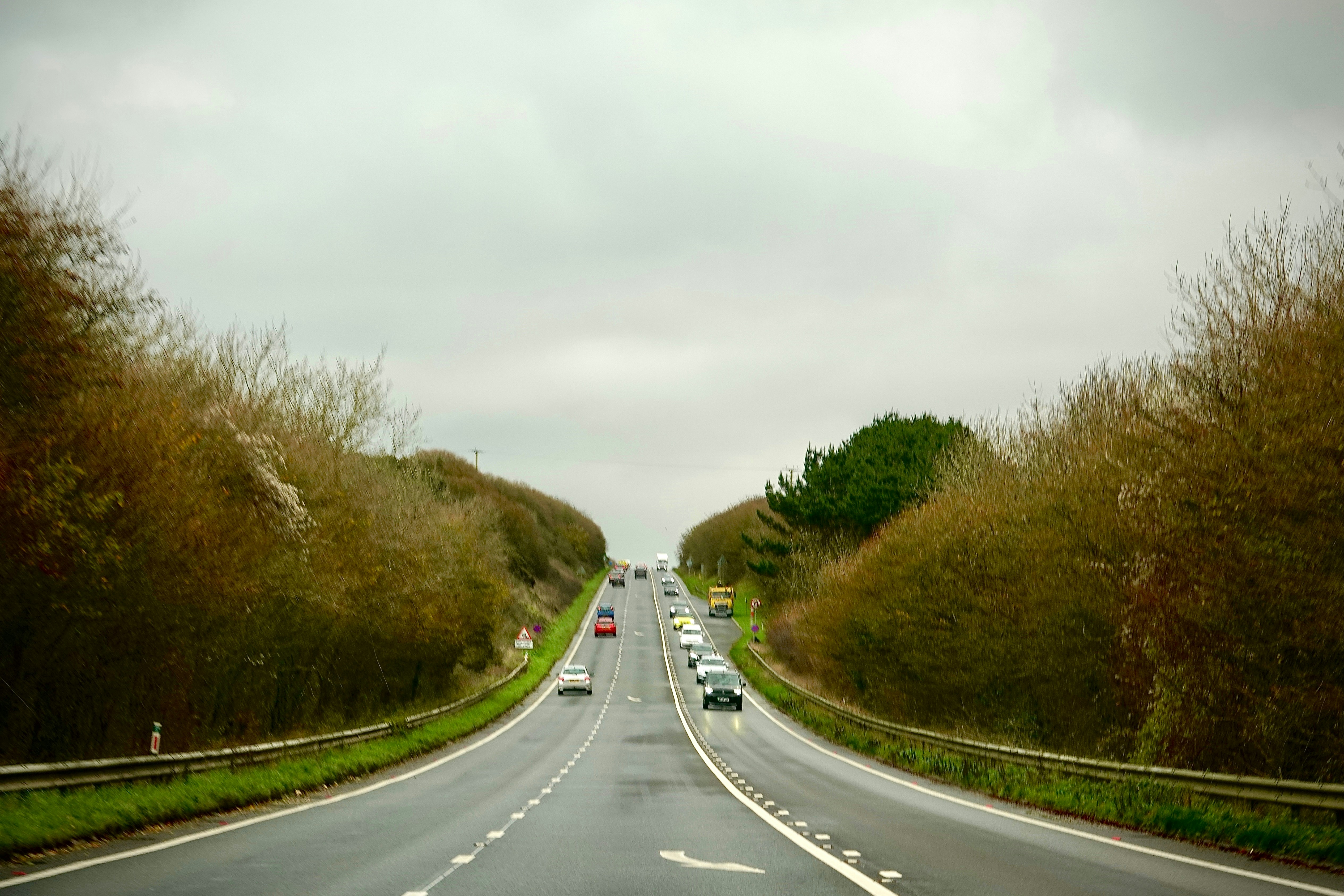 Photo by priyankachechi29