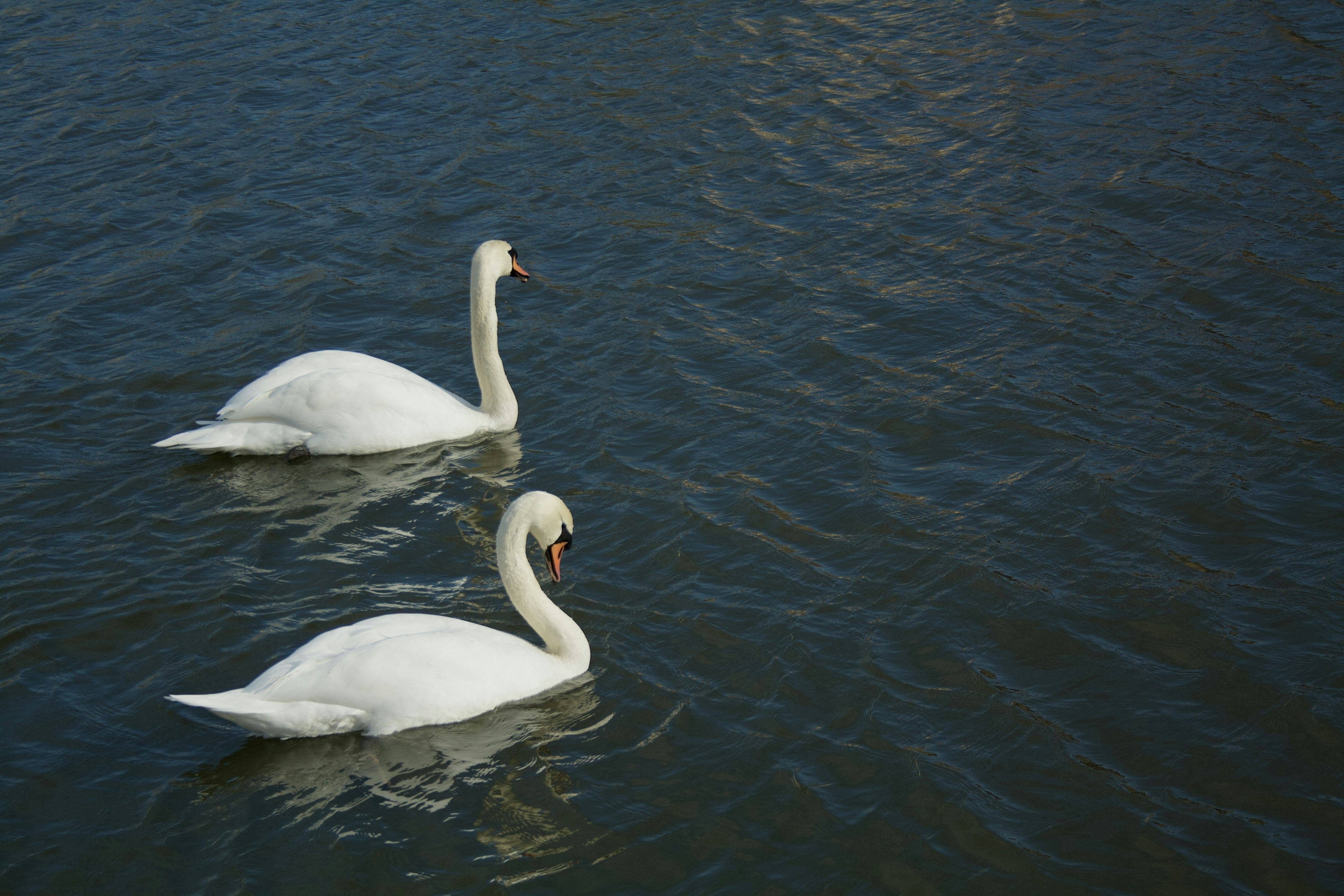 Photo by officiallyamandaaaa