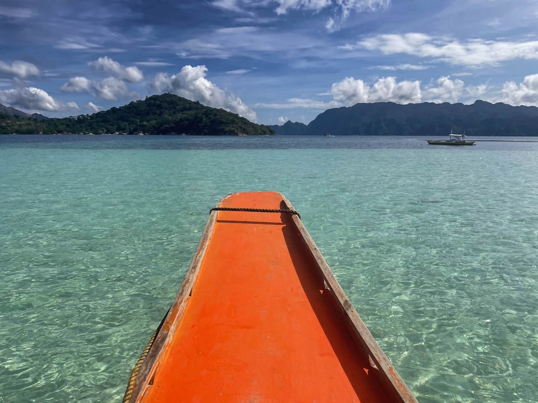 Bay Tour + Swim