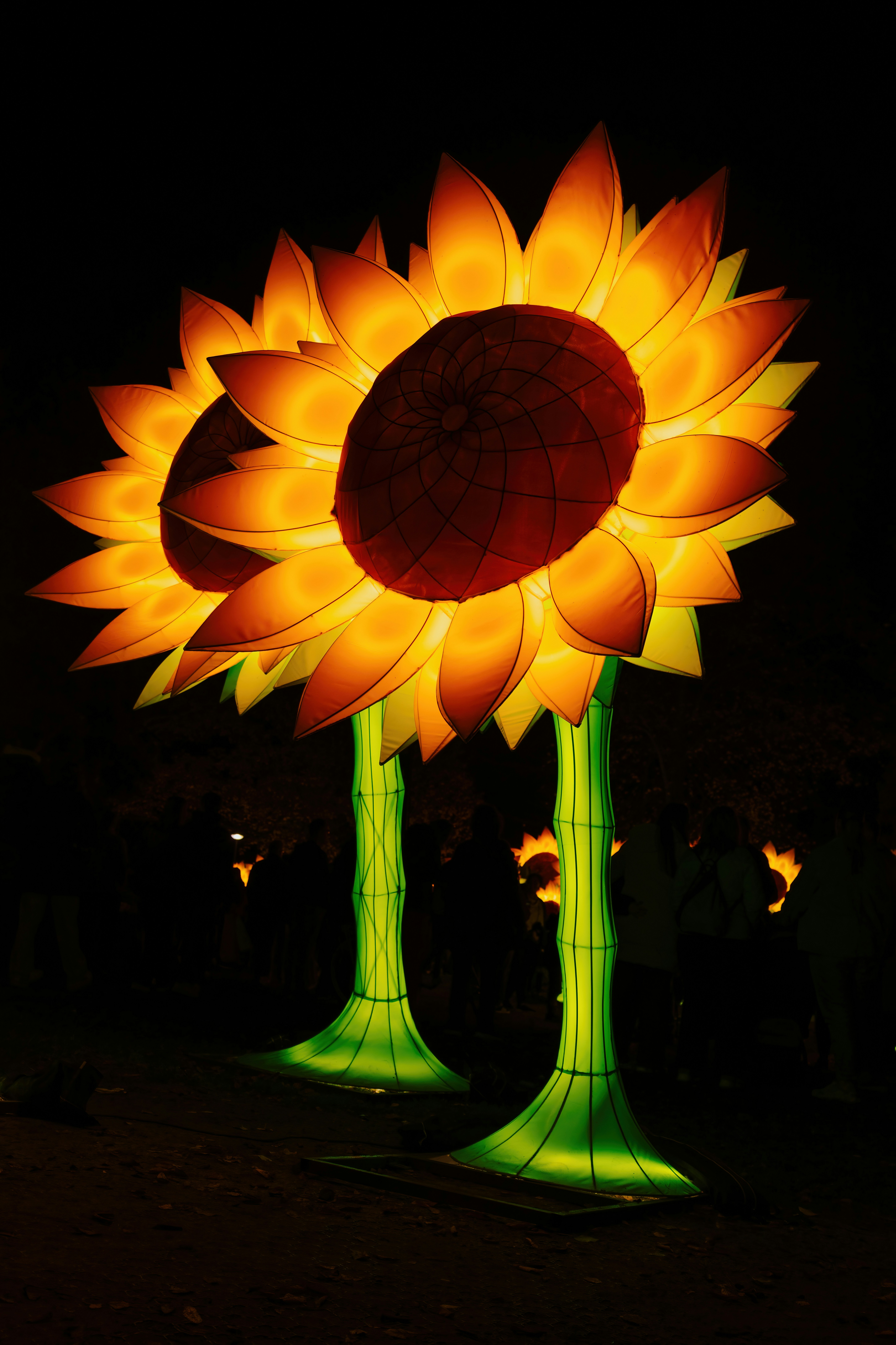 Two glowing sunflower lanterns at night