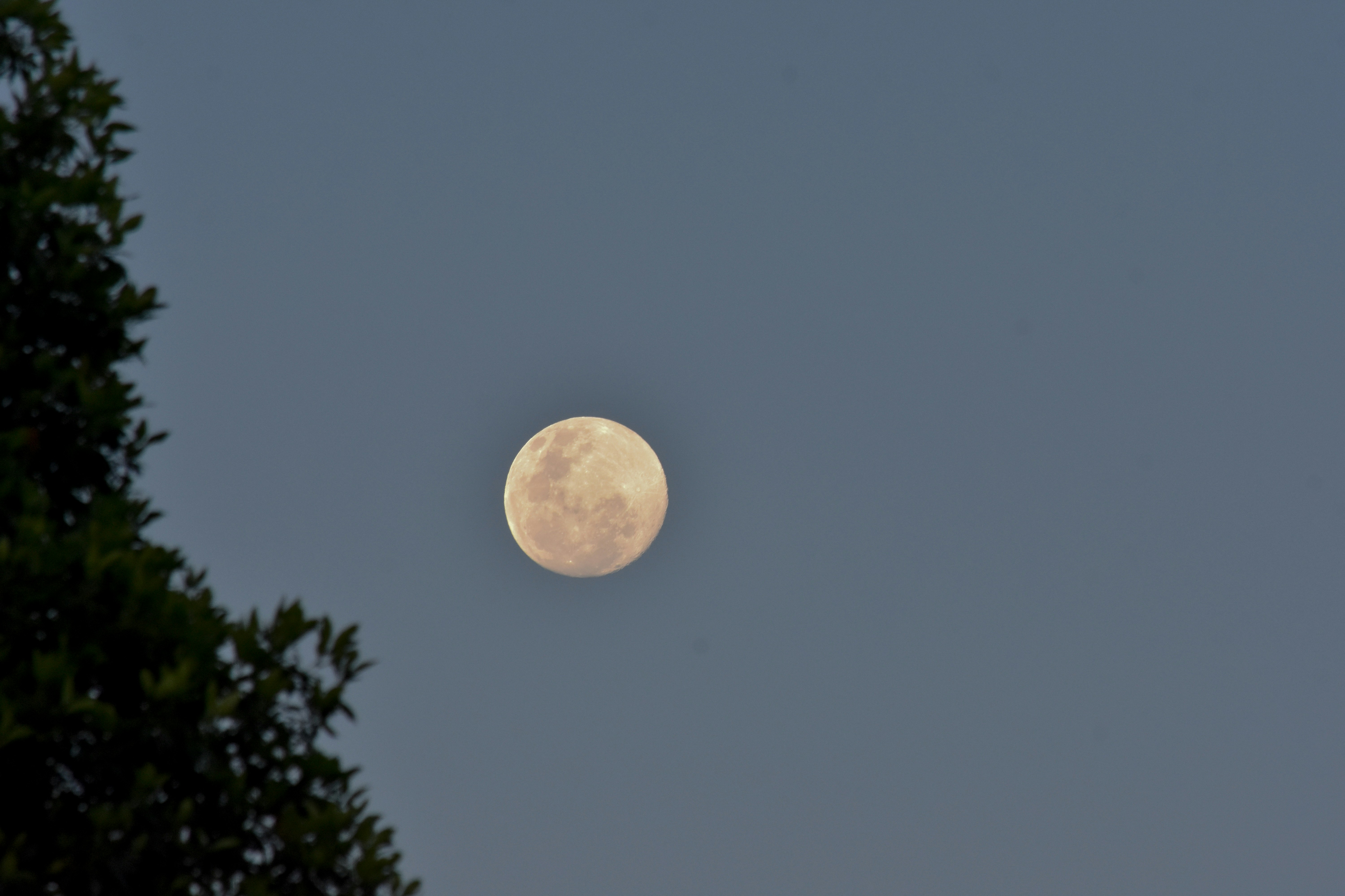 Photo by sneakygoblin036