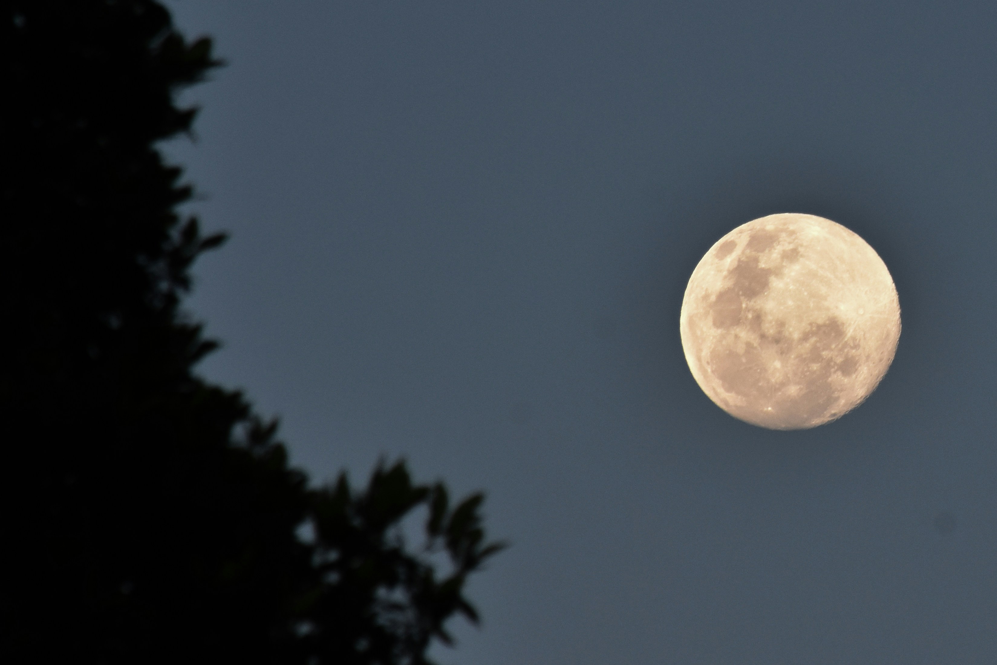 Photo by sneakygoblin036