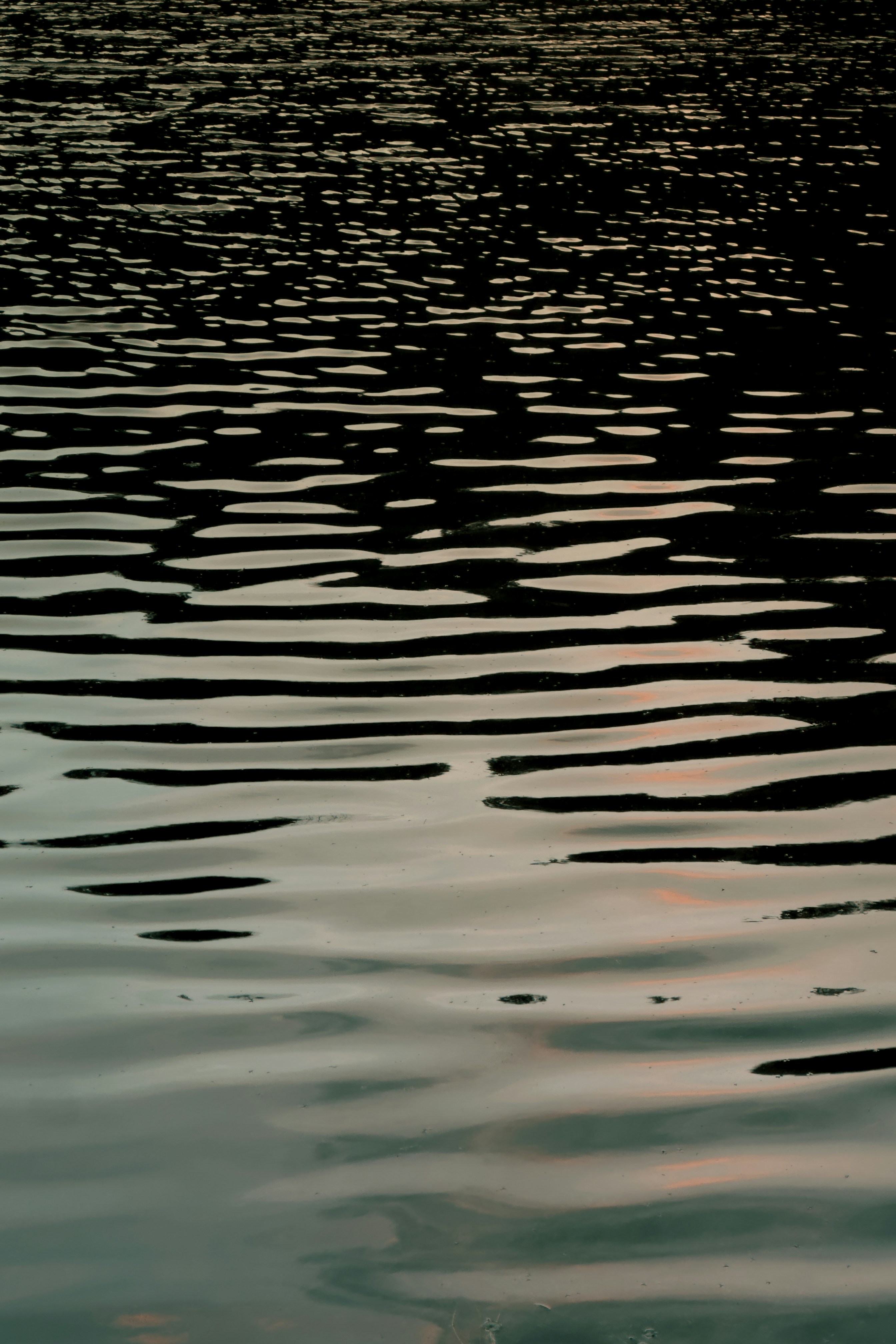 Dark water surface with ripple caustics at dusk