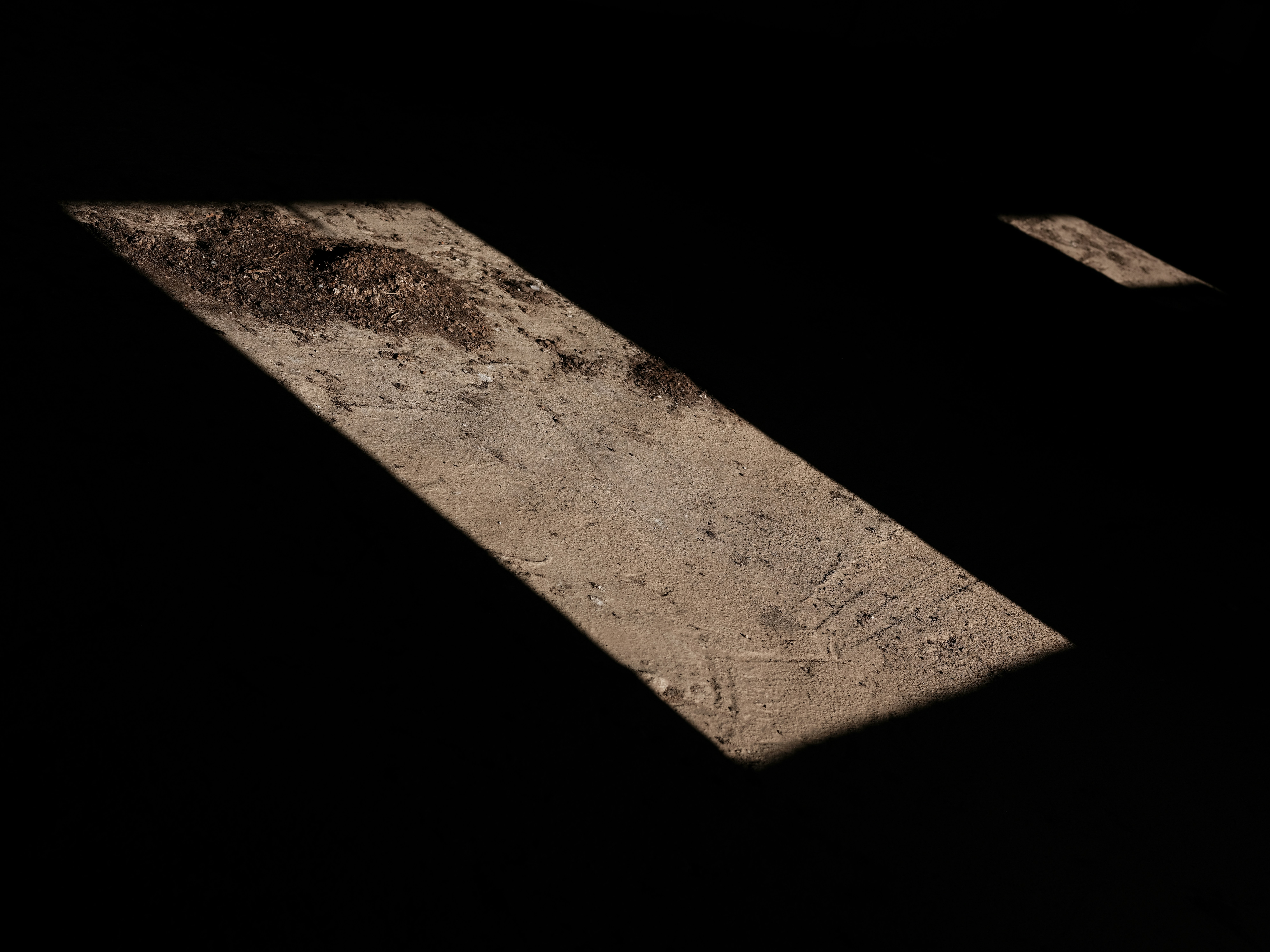 Photo by samueljeronimo