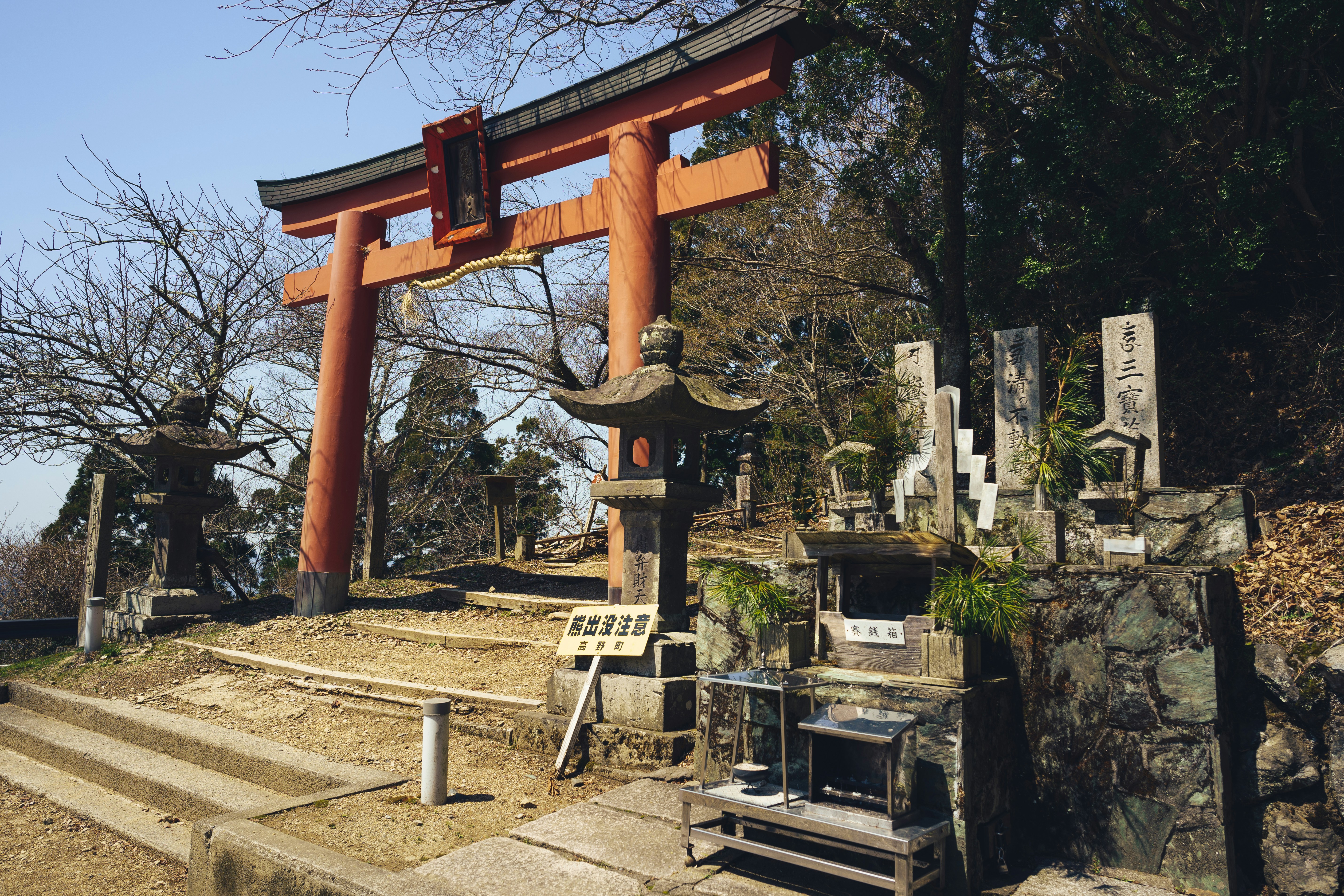 Photo by mirrors_are_more_fun