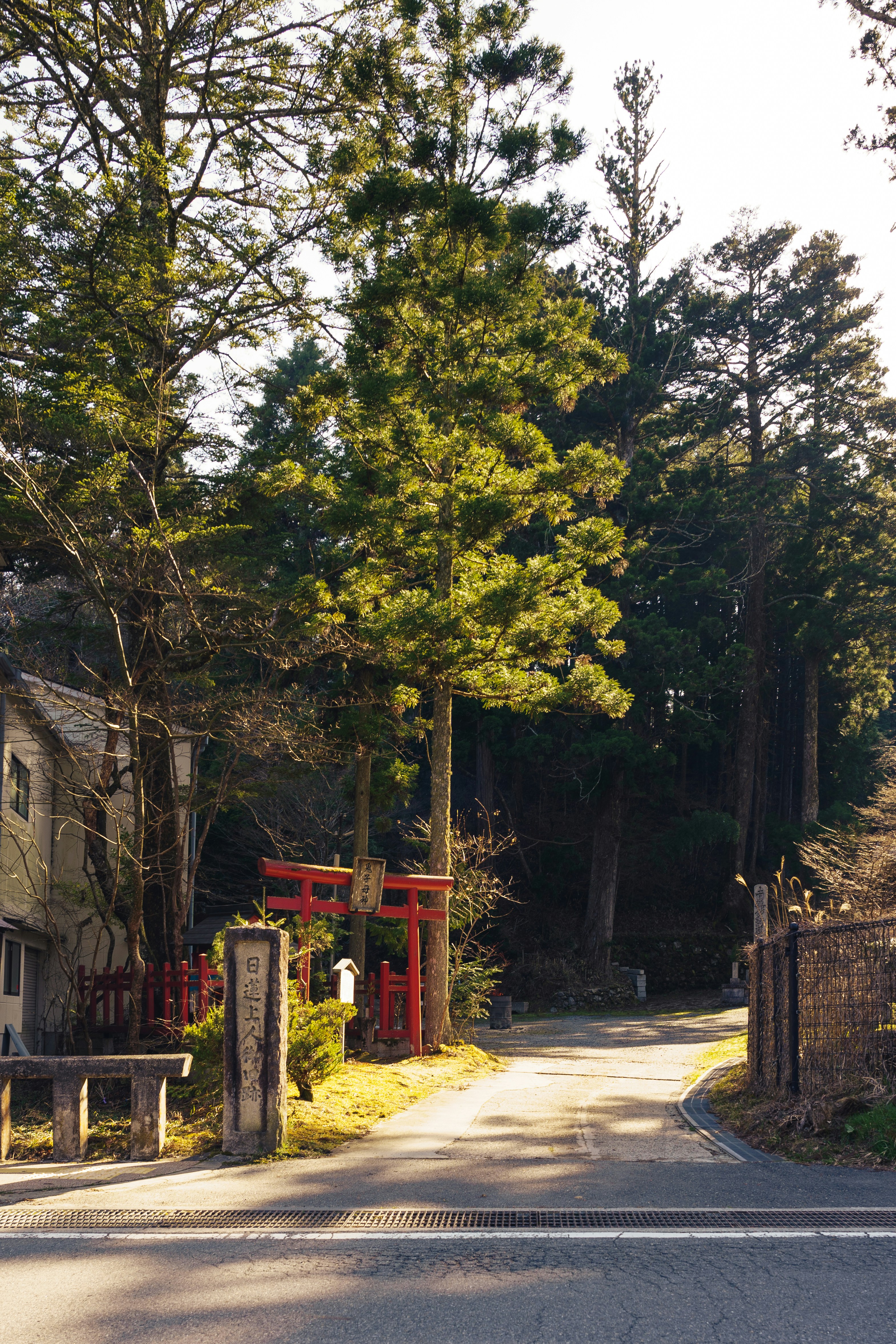 Photo by mirrors_are_more_fun